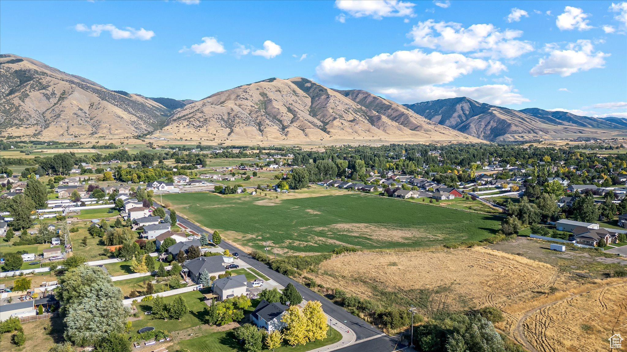 JOHNSON MEADOWS - Land