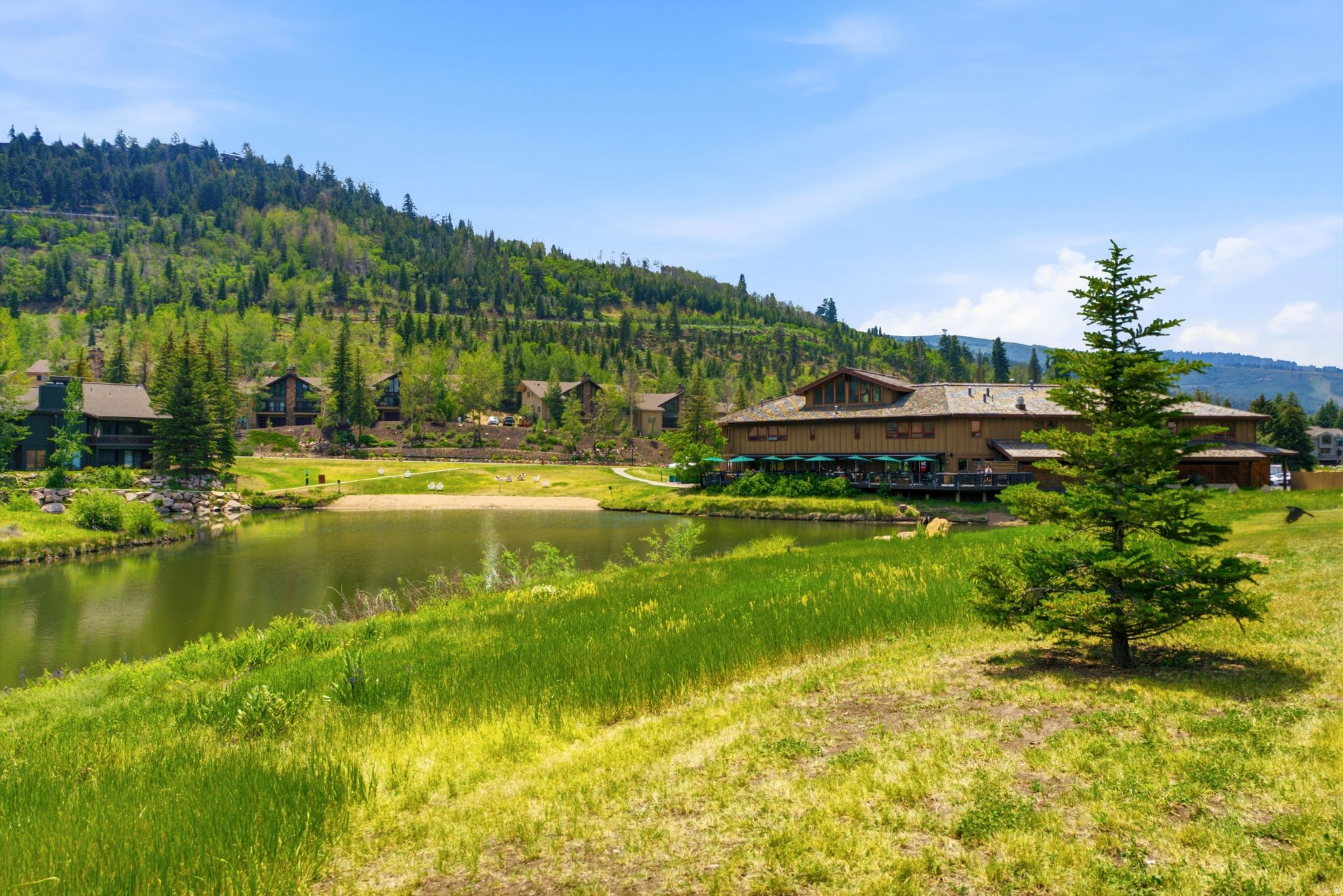 FAWNGROVE CONDOMINIUM - Residential