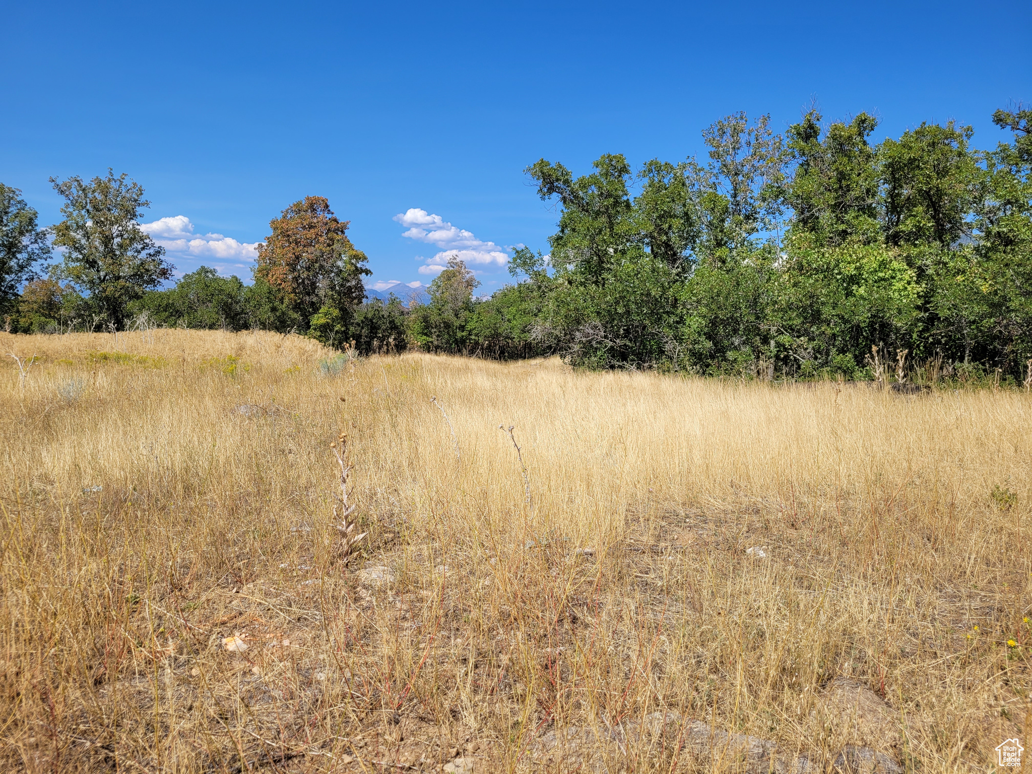 SUMMIT CREEK - Land
