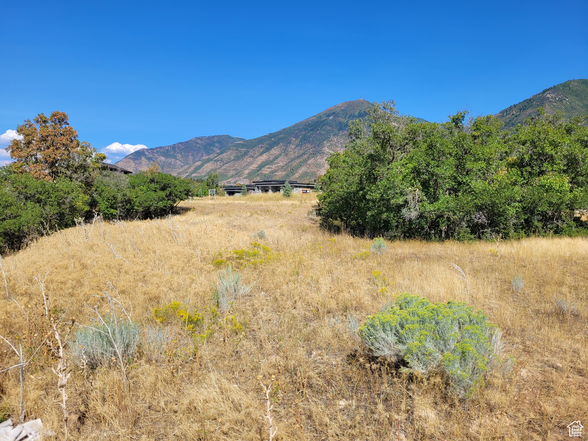SUMMIT CREEK - Land
