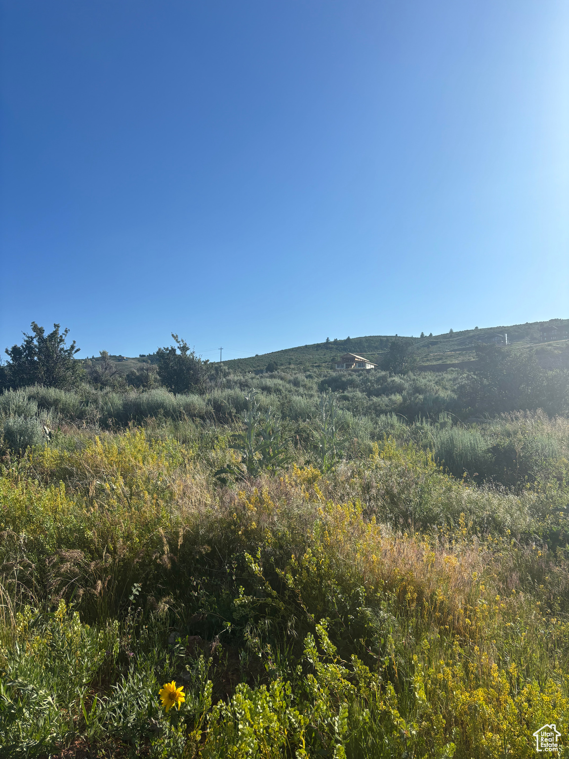 LONG RIDGE PHASE 6 - Land