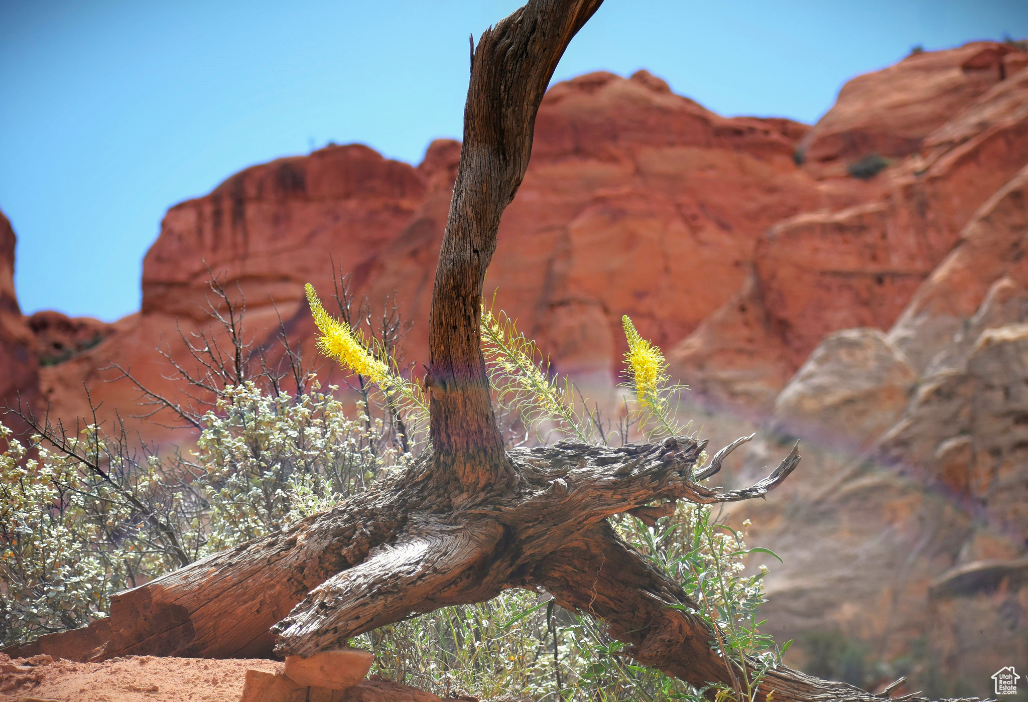 HUNT - Land