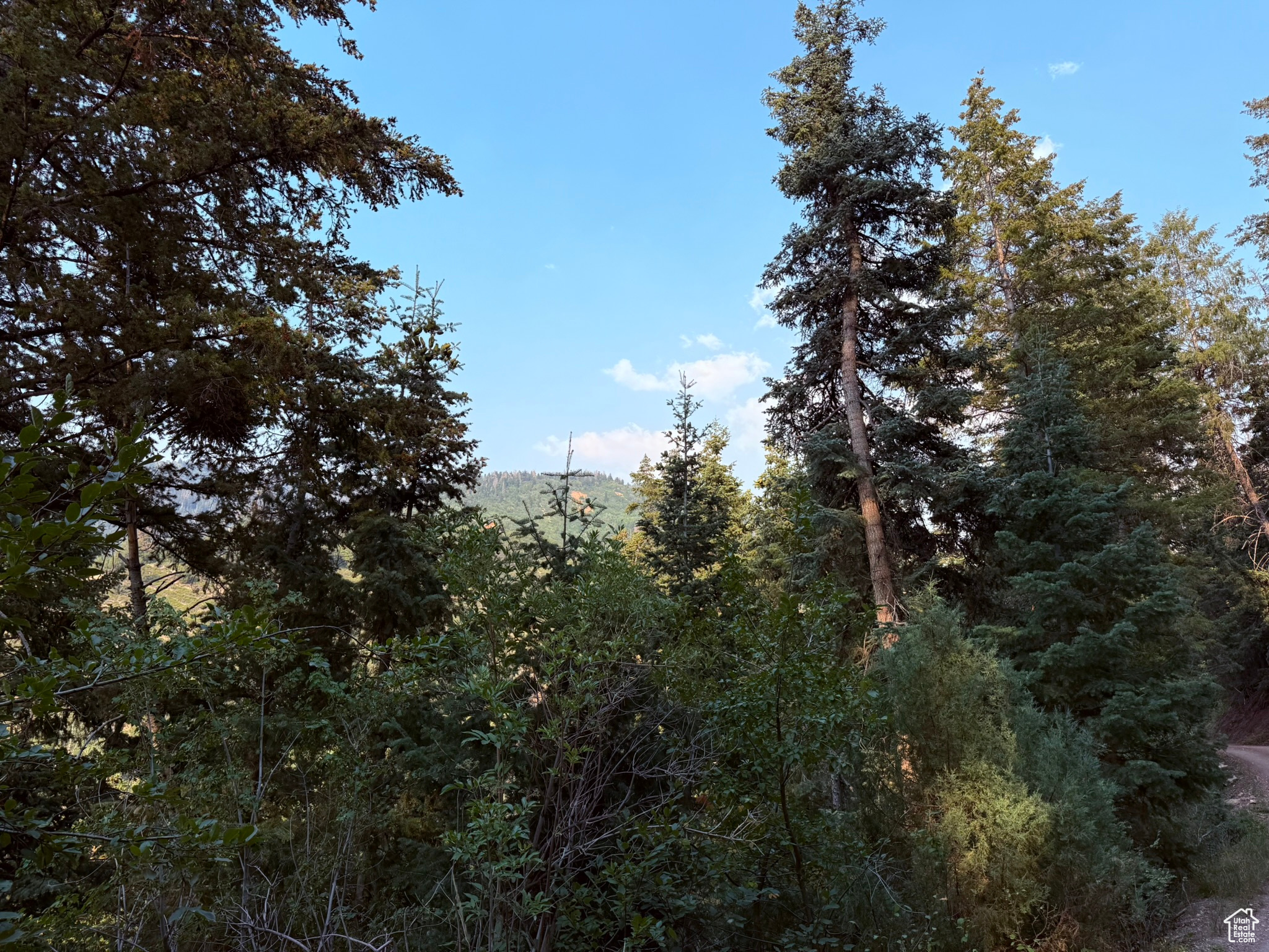 PINE CREEK RANCH - Land