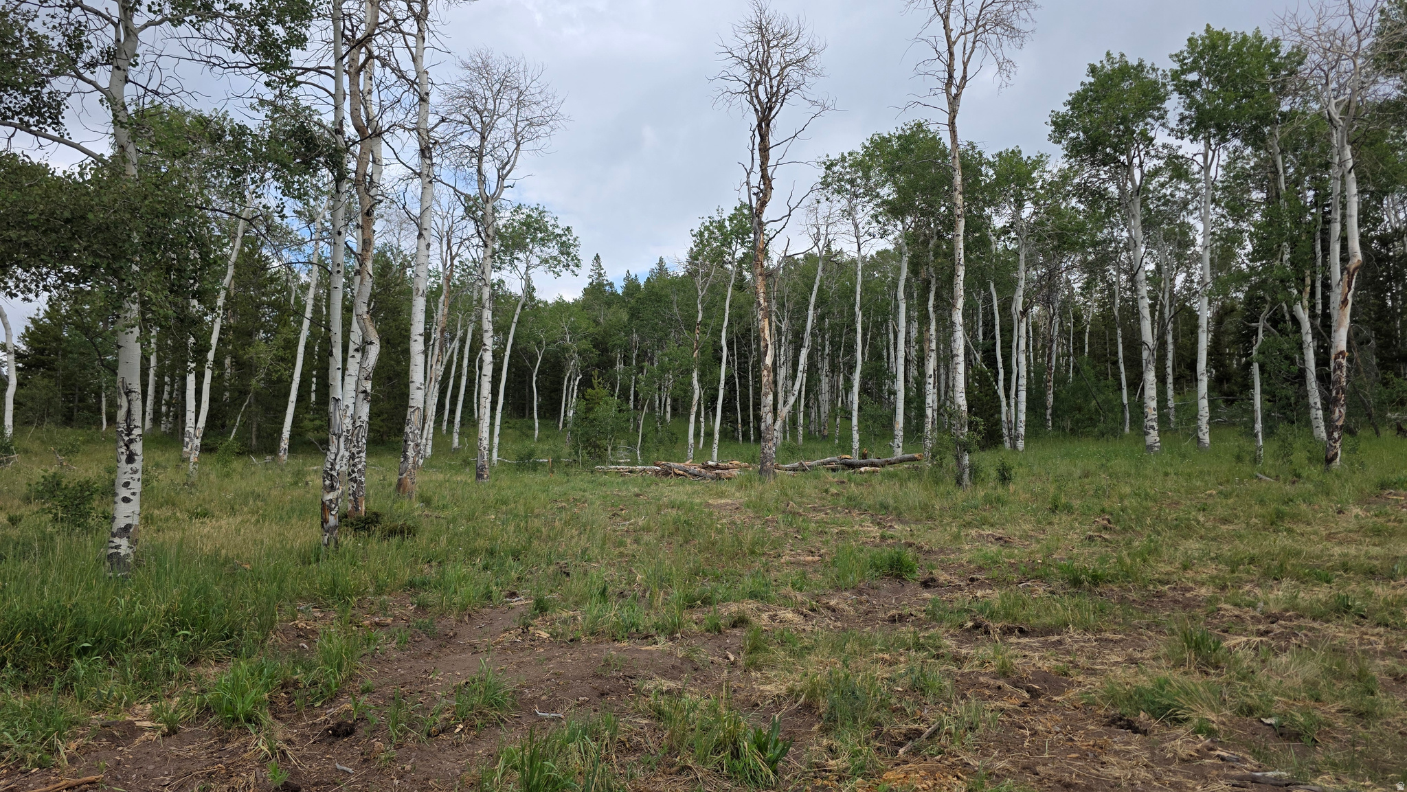 UINTA LANDS - Land