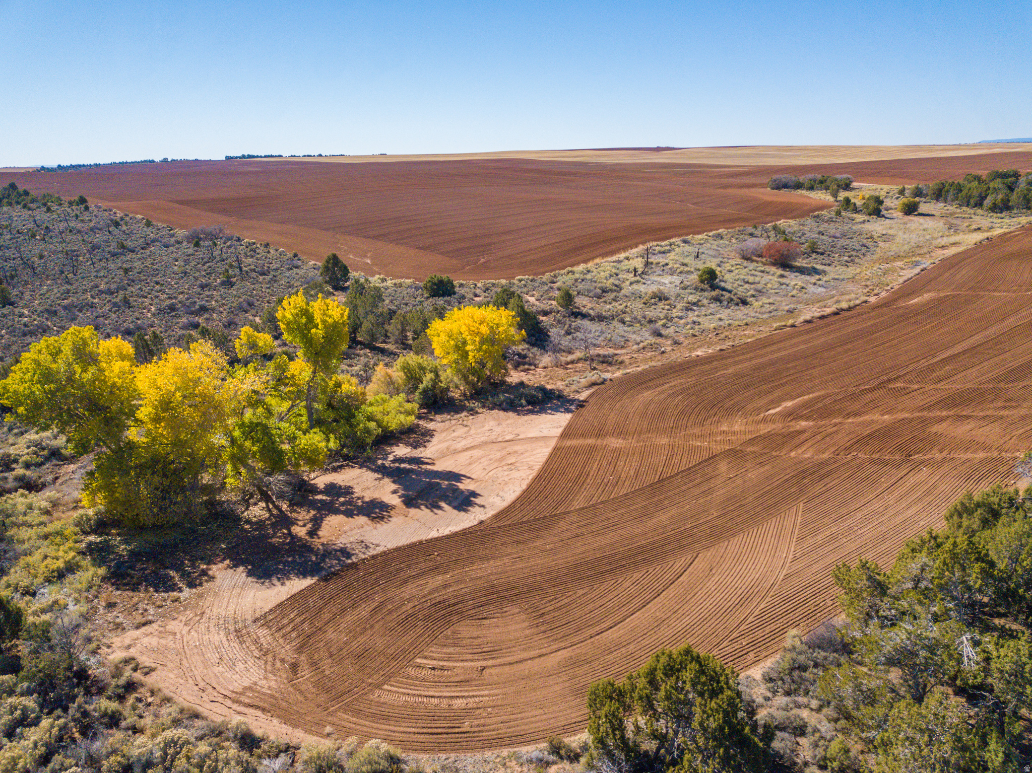 Escape to 320 acres of spectacular, income-producing land in the quiet Eastland community, perfectly nestled between Monticello and Dove Creek. This expansive property offers the ideal blend of farming income, vast recreational opportunities, and a truly magnificent setting for your future home. The majority of the acreage is currently dry farmed in a wheat/safflower rotation, providing a reliable crop share income that helps offset ownership costs. Beyond farming, the land is also a part of the Spring Creek/Dodge CWMU, providing a small second stream of income. For a touch of natural beauty, the northeast corner features huge cottonwood trees lining a seasonal stream. Adding to the financial appeal, the property benefits from a greenbelt tax designation, ensuring that property taxes remain low. *Note on Location: Please note that the address of 5 S Richardson Rd is for mapping and syndication purposes only. This property has not yet been assigned an official address. This estimated location is provided solely to assist buyers in identifying the general area.