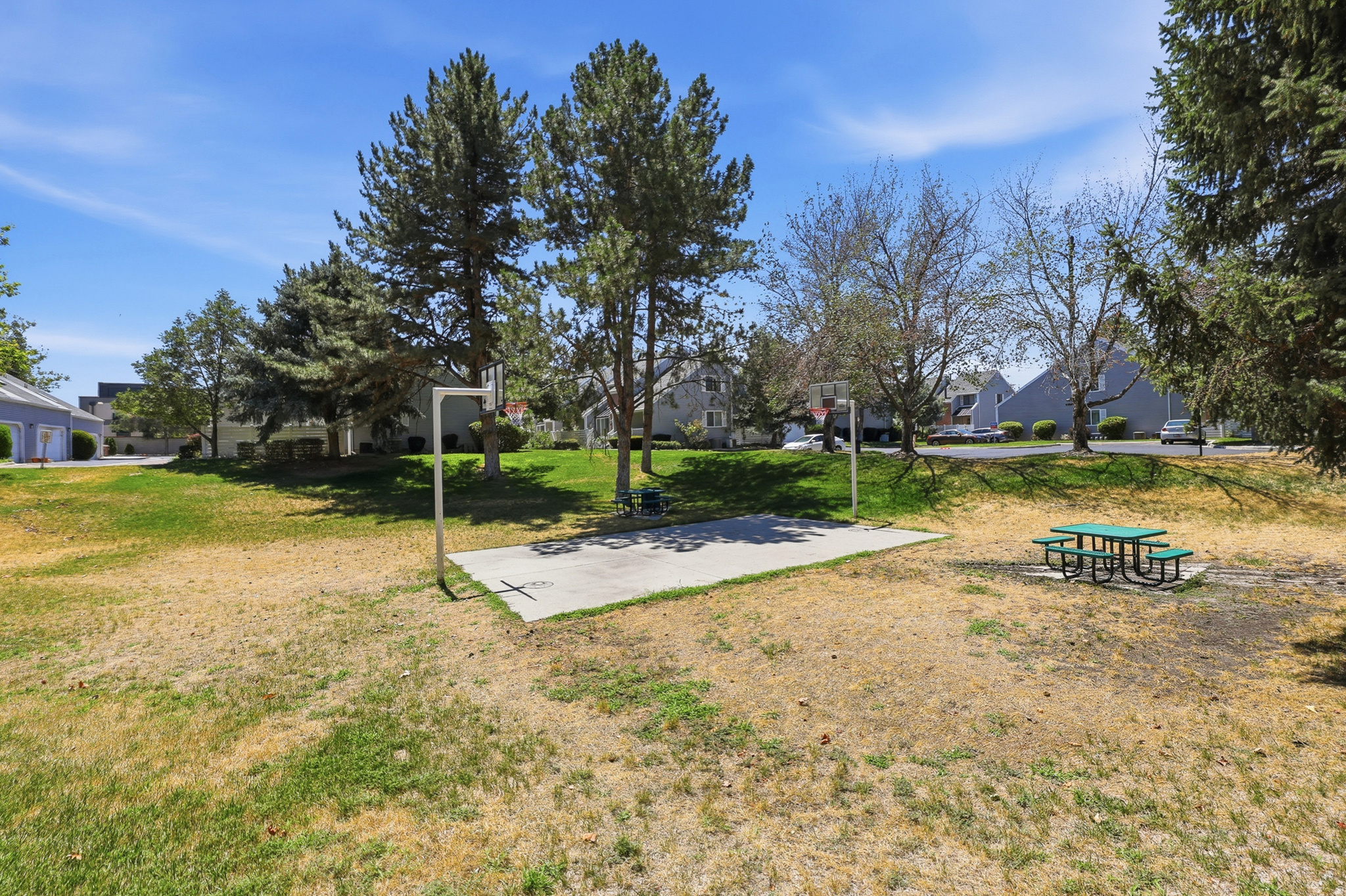 ESSEX COURT CONDOS - Residential