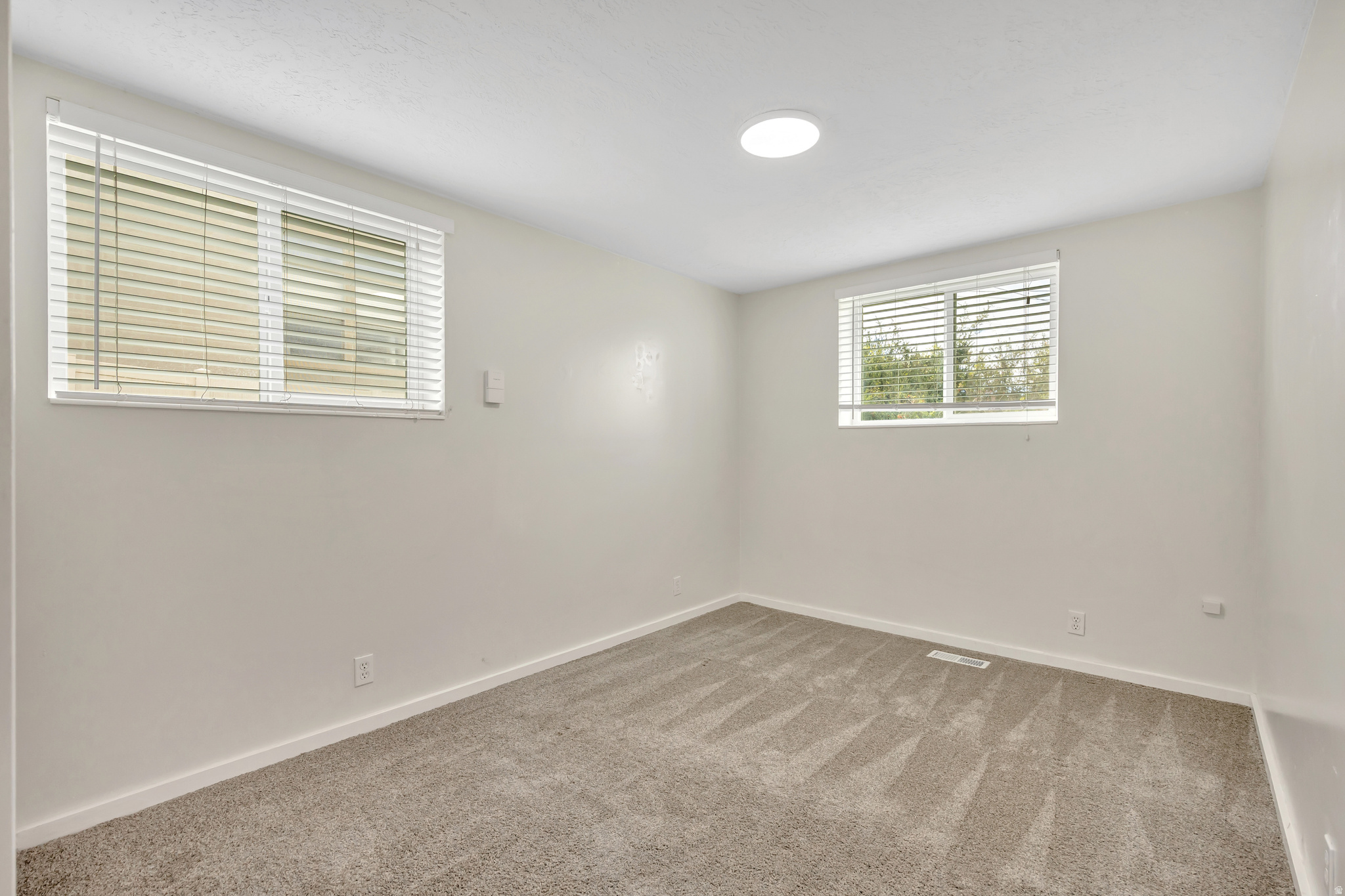 BLUE RIBBON ACRES - Residential