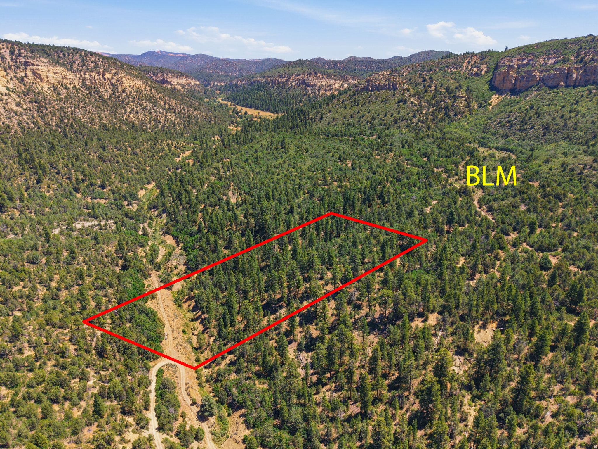 COUGAR CYN - Land