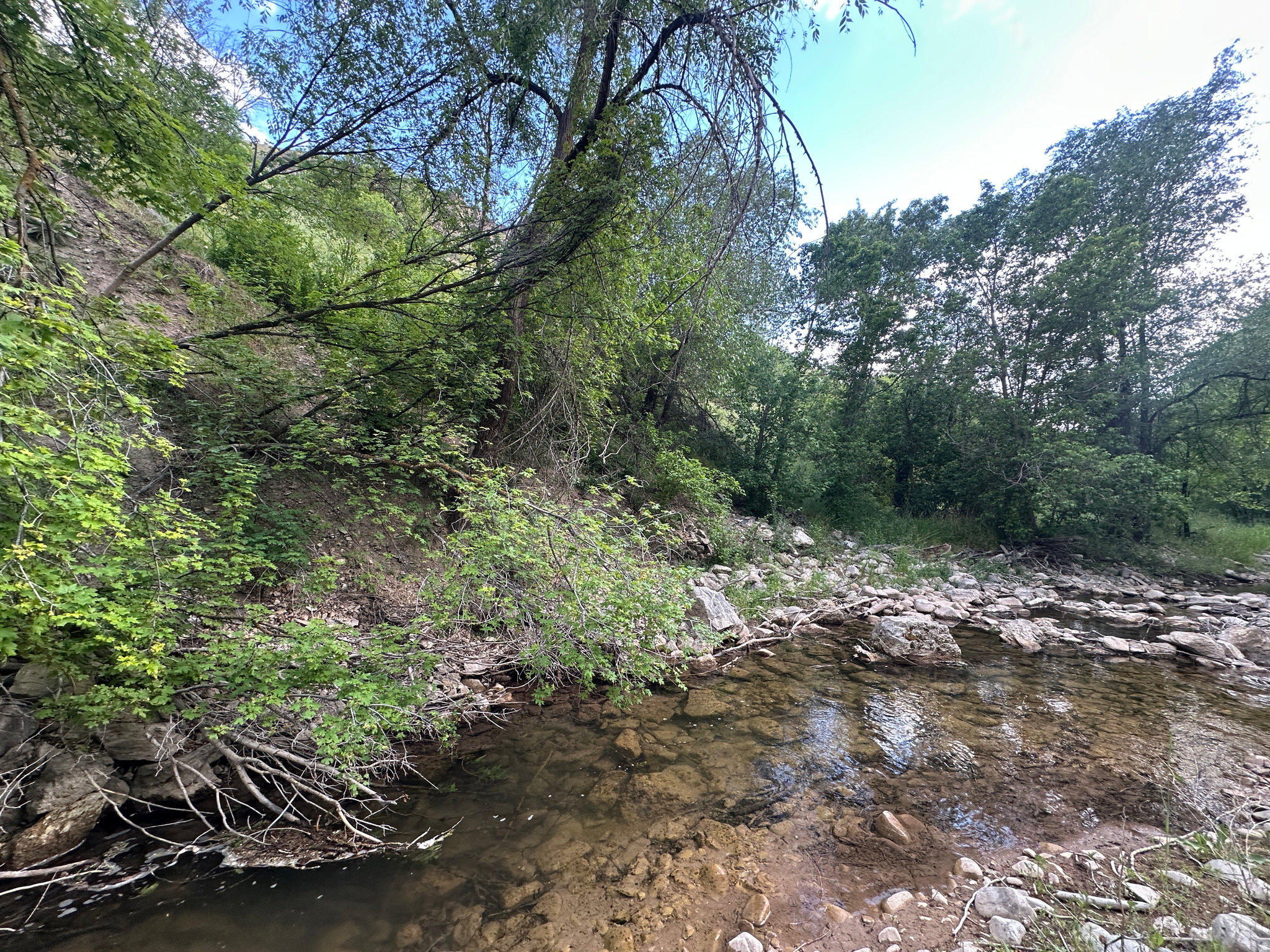 MEADOWS AT HOBBLE CREEK - Residential