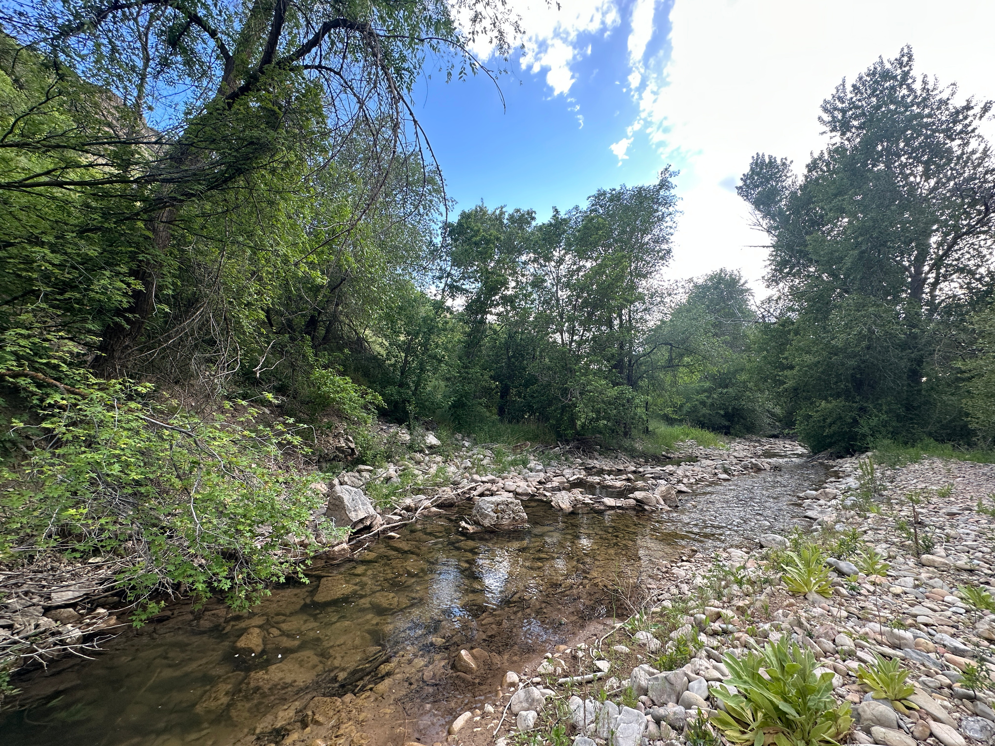 MEADOWS AT HOBBLE CREEK - Residential