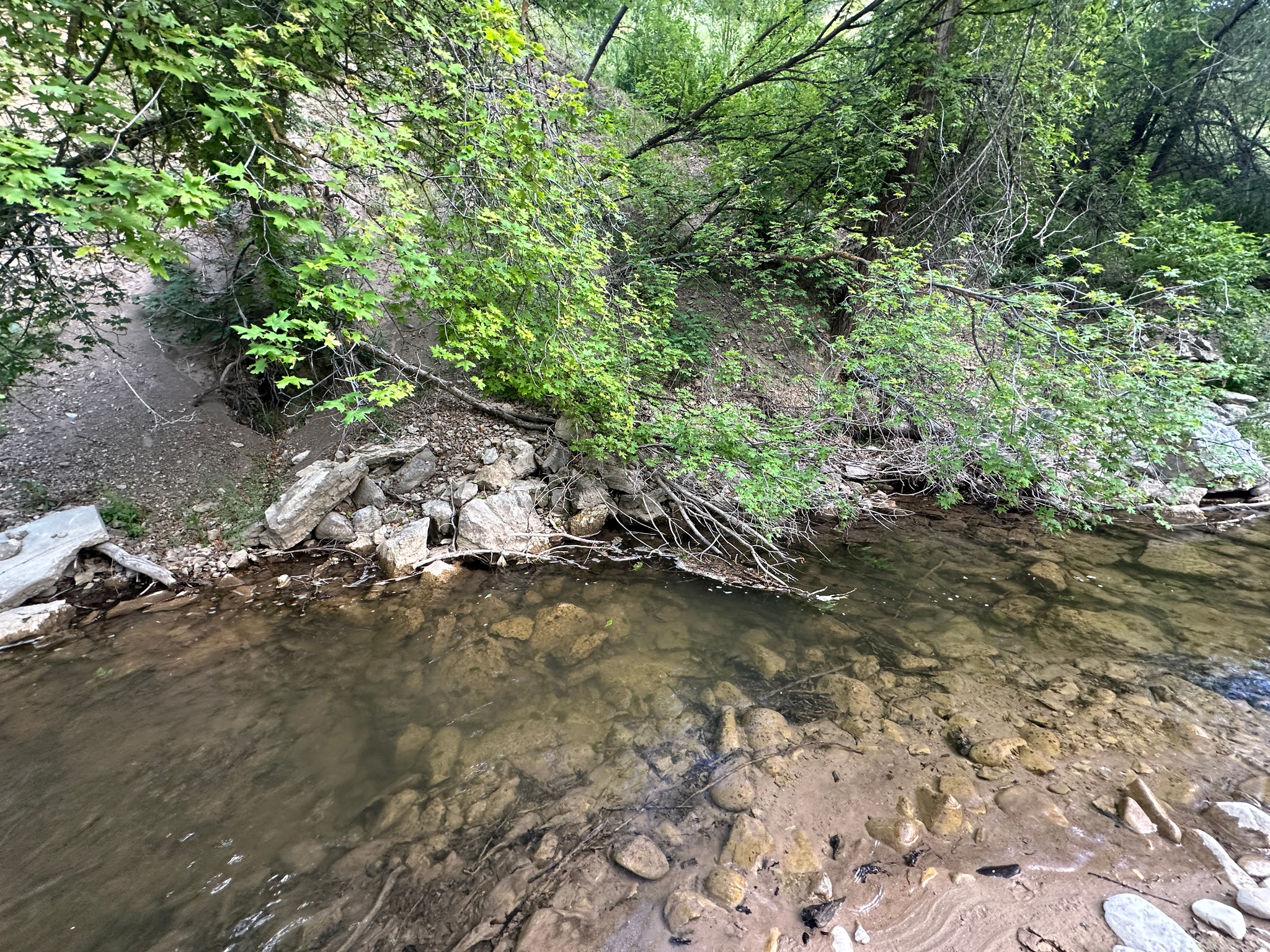 MEADOWS AT HOBBLE CREEK - Residential