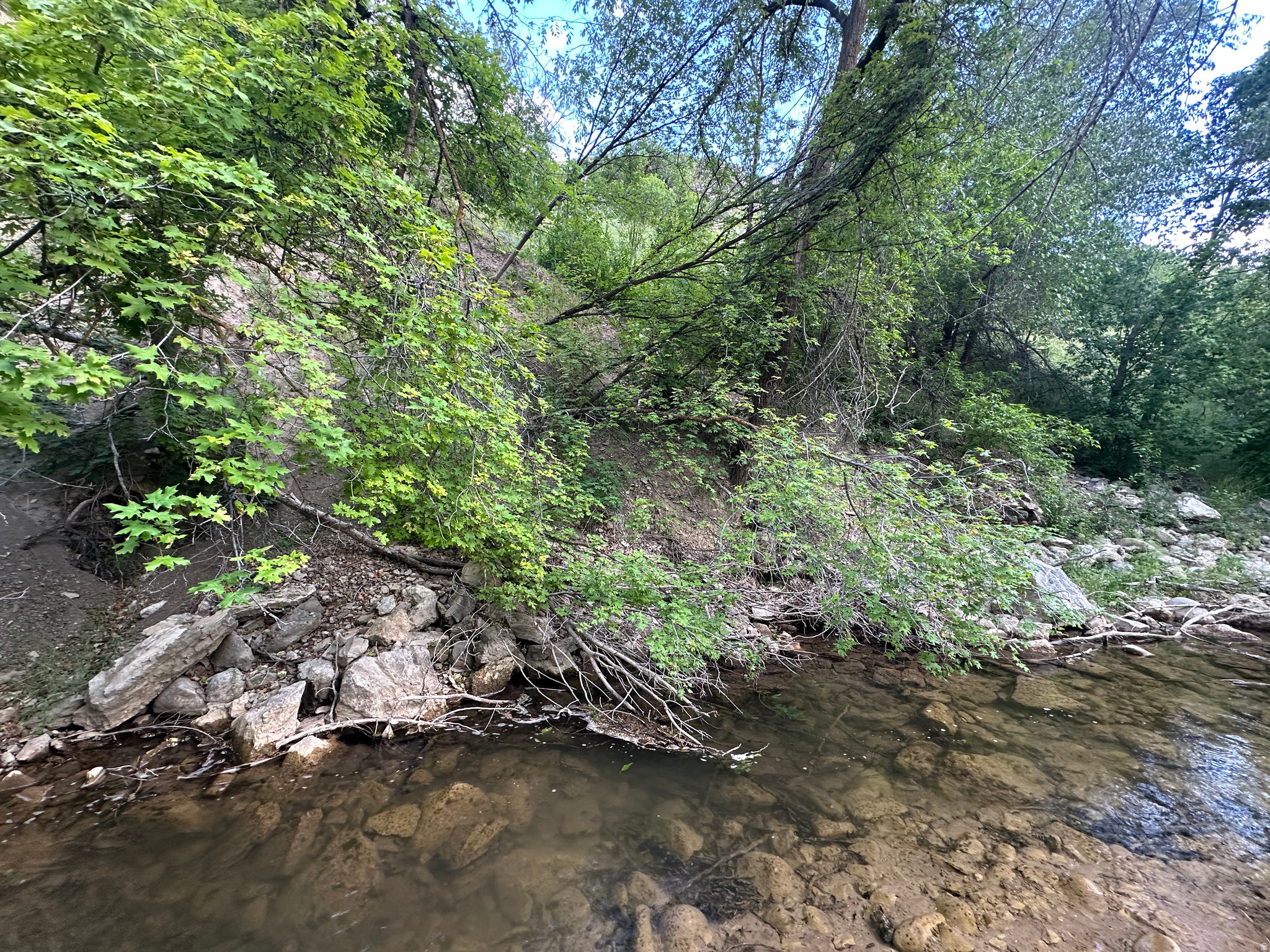 MEADOWS AT HOBBLE CREEK - Residential