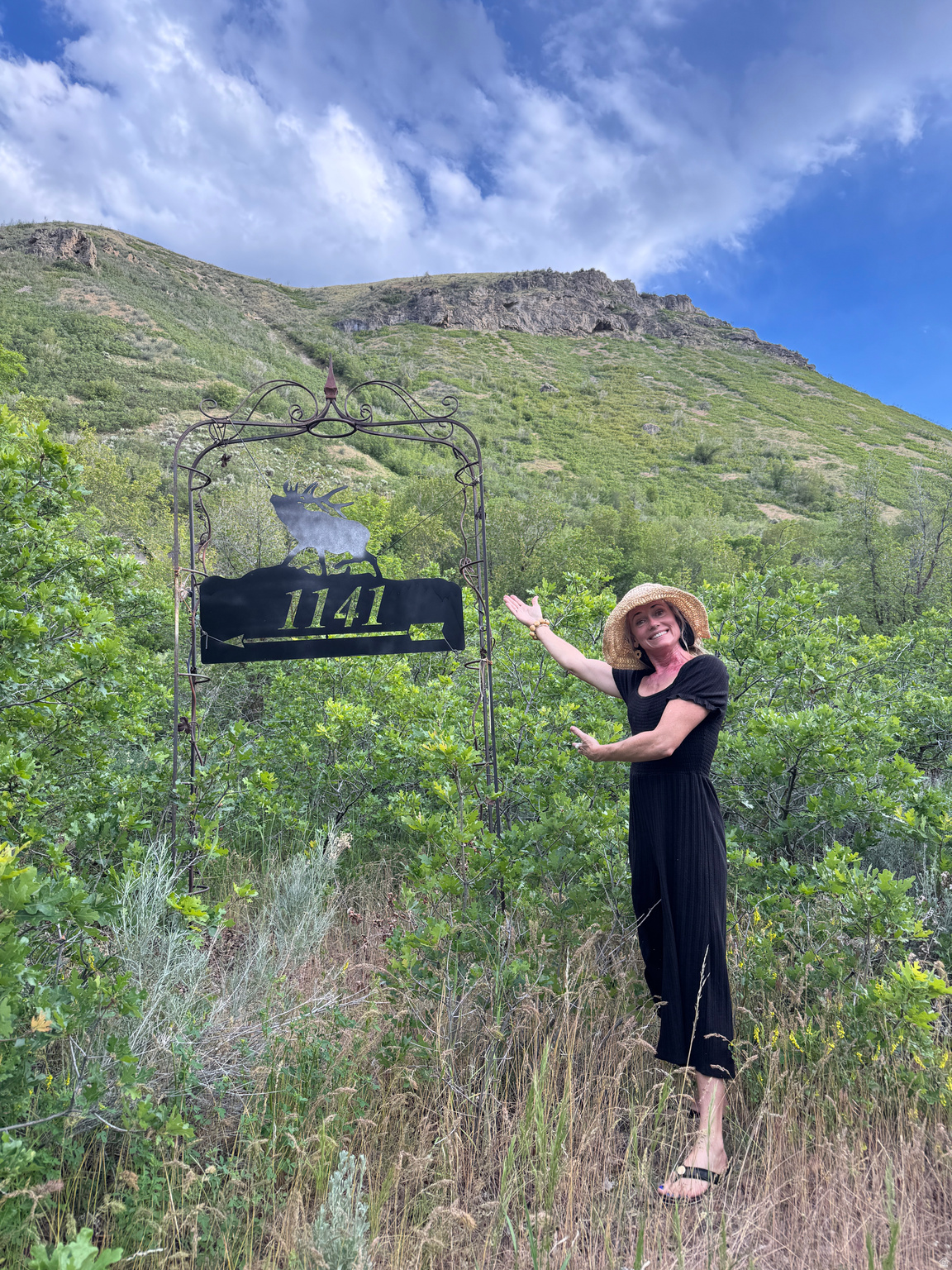 MEADOWS AT HOBBLE CREEK - Residential