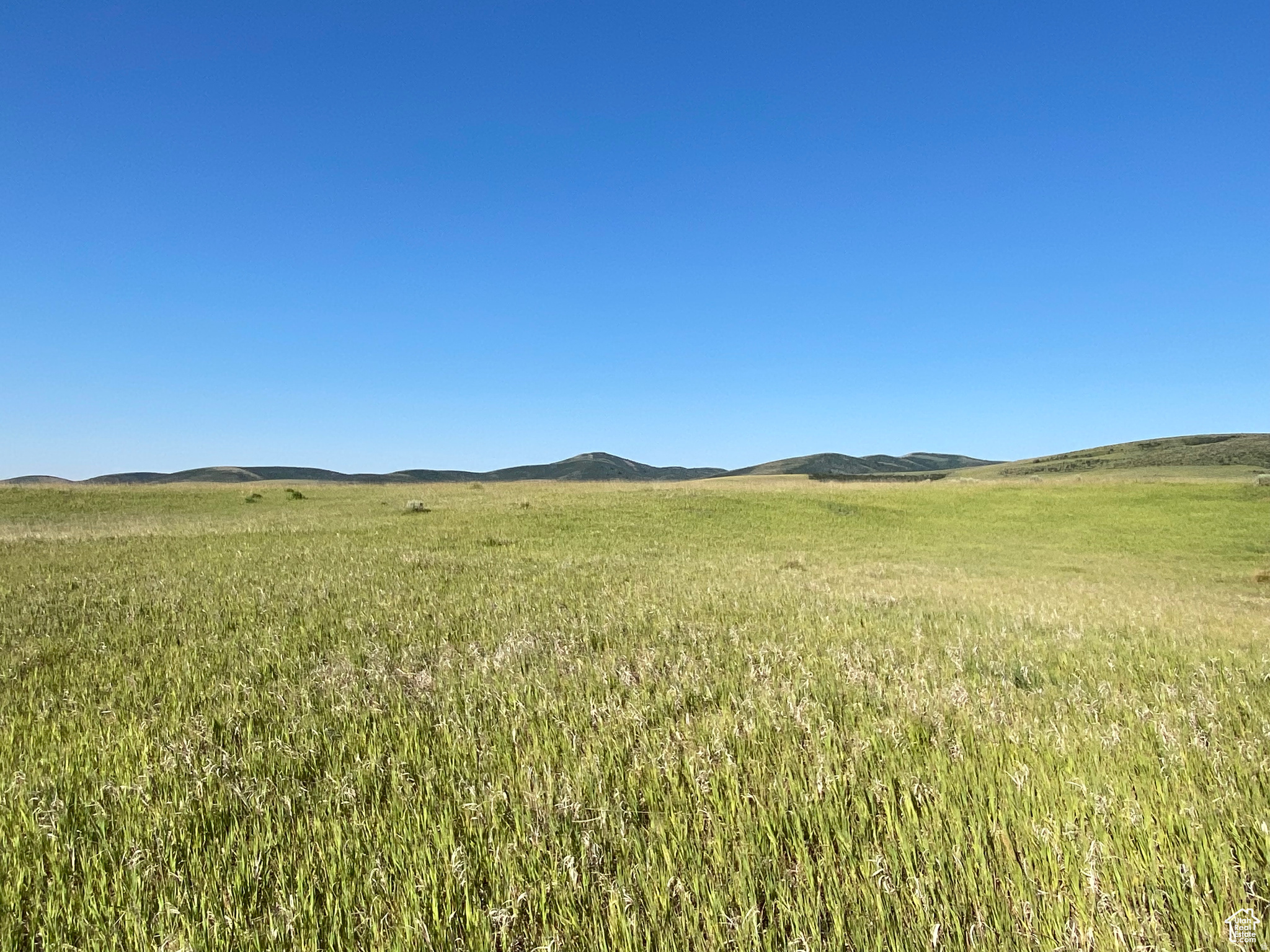 Reduced price! Looking for the ideal rural setting for a home or a recreational use? You have just found it! 80 acres with another adjoining 80 acres available. Located a short distance north of Malad and about 3 miles from Daniels reservoir. Off grid electrical will be needed. Located on a county road that does not currently have winter maintenance. A few other homes close by. Multiple outdoor and recreational opportunities close by. Escape the craziness of the city and come to Idaho for your new home stead. Domestic well water right in place.