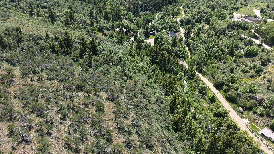 SWAN CREEK SPRING SUB - Land