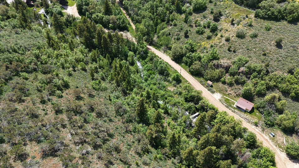 SWAN CREEK SPRING SUB - Land