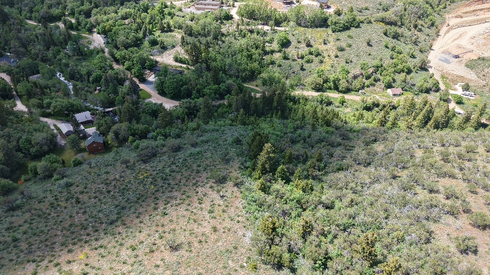 SWAN CREEK SPRING SUB - Land