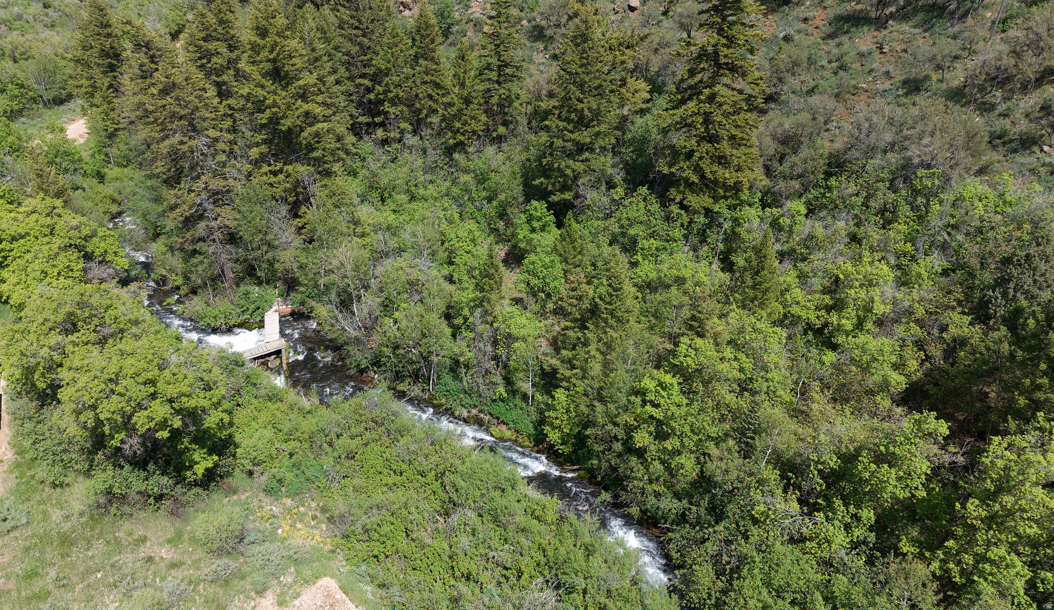 Majestic location and spacious wooded lot up Swan Creek Springs Rd, near the top of the canyon, yet only 2/3 mile from the main highway and 3 miles north of the heart of Garden City! Close to town yet private. Roughly 400-500 feet of beautiful Swan Creek frontage! Much of the 7.39 acres is wooded to provide privacy and seclusion for your Bear Lake dream home. Beautiful mountain and canyon views. Road maintained year round, power at road, and potential to tie in to Garden City water or drill well - buyer's choice! Ride directly up into public ground right from the property! Buyer to install bridge over Swan Creek to be able to drive onto buildable part of property. Access easement in place over bordering neighbor's property to allow bridge to be in better, more gradual location. Extremely rare and unique property! Take advantage today! Final address TBD.