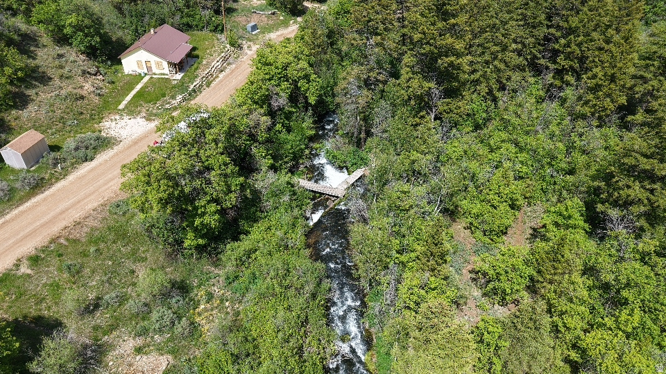 SWAN CREEK SPRING SUB - Land
