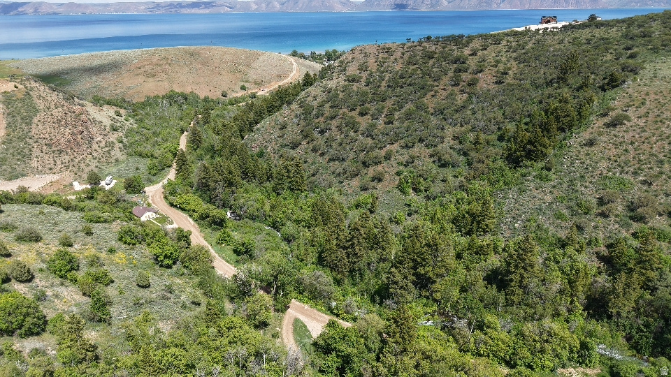 SWAN CREEK SPRING SUB - Land
