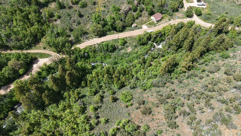 SWAN CREEK SPRING SUB - Land