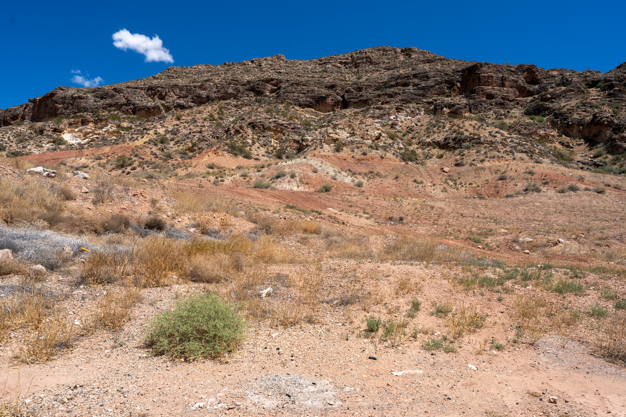 Large .68 acre lot, conveniently located in La Verkin just minutes from Zion National Park. This affordable building lot provides the perfect opportunity to build in Southern Utah without the burden of HOA fees. Tucked into a relaxed neighborhood, you will enjoy sweeping views of the valley and surrounding red rock mesas without paying premium resort prices.