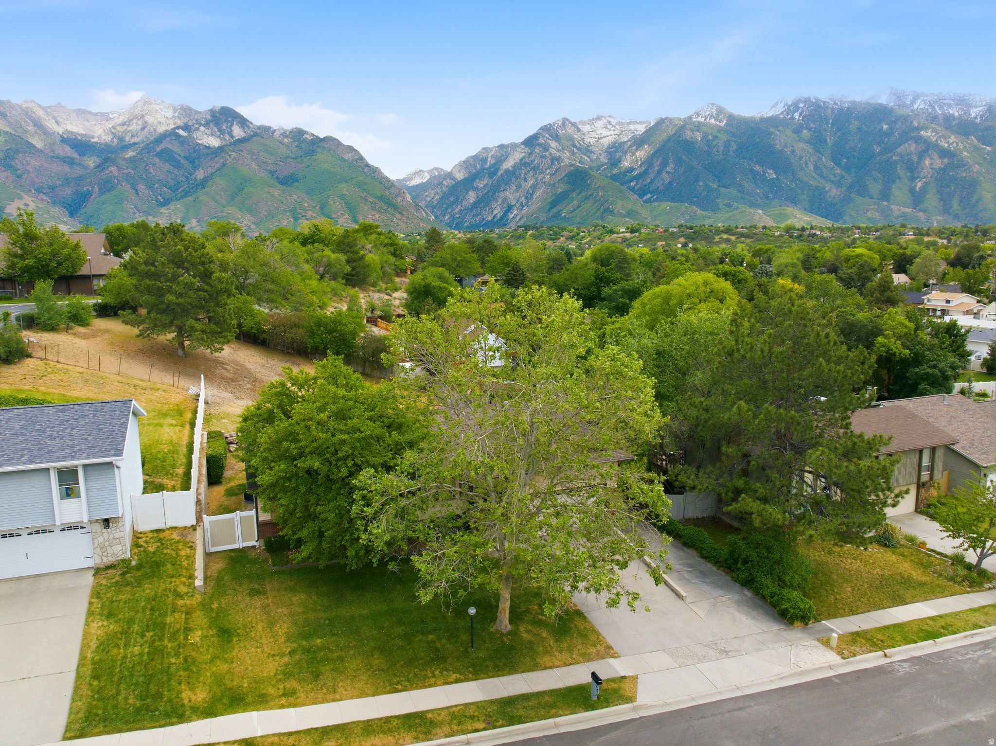 MEADOWS - Residential
