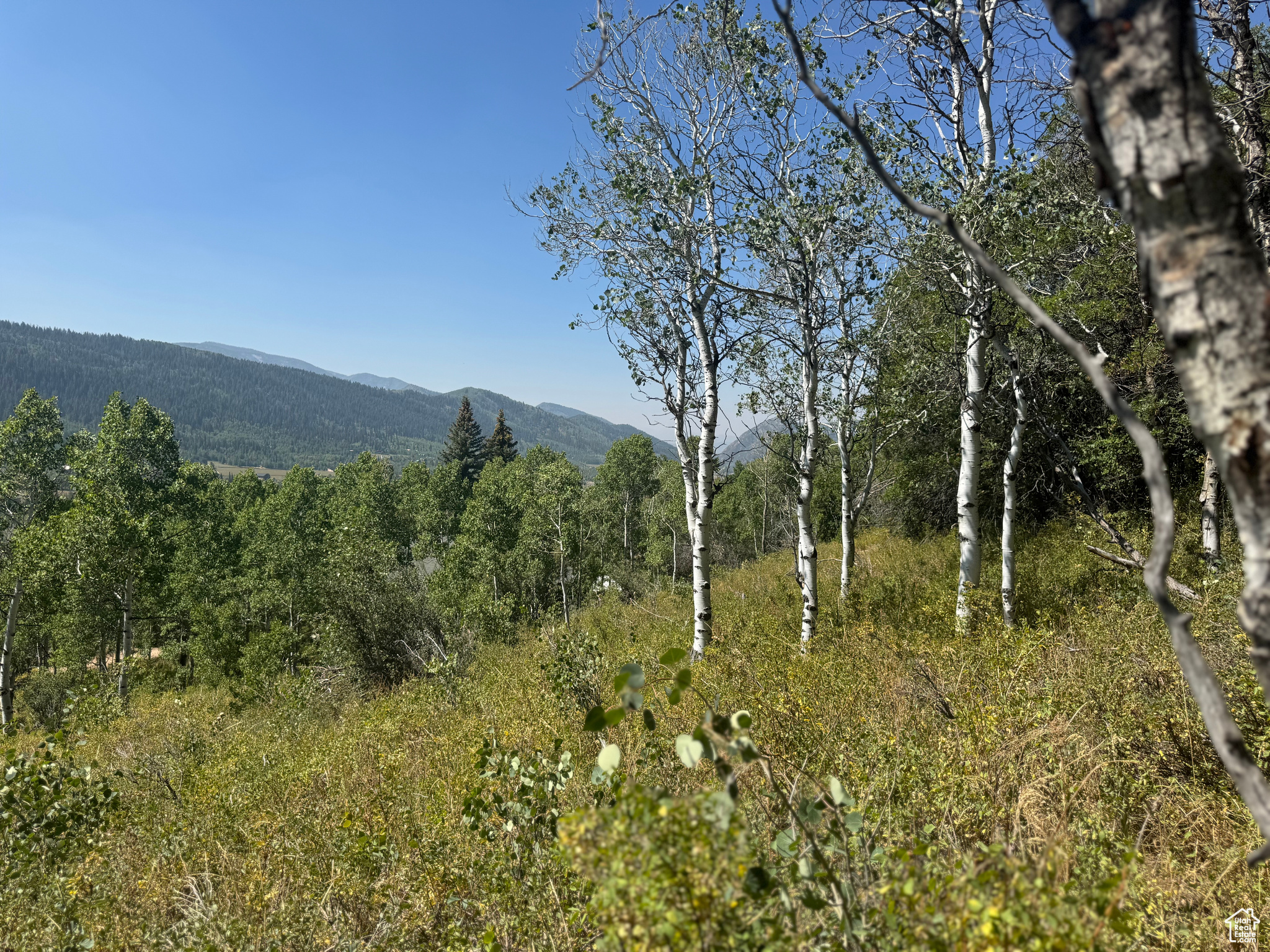 BEAVER SPRINGS - Land