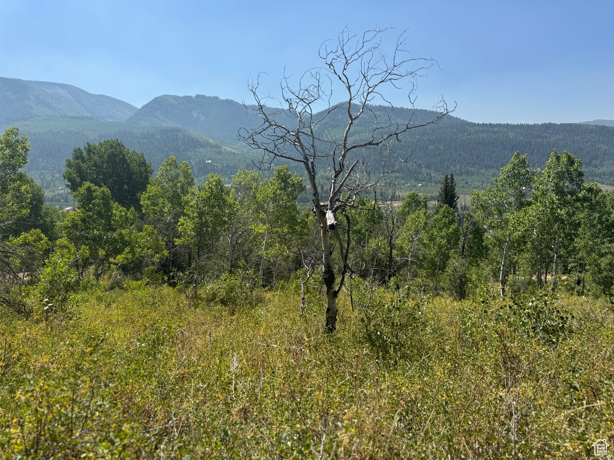 BEAVER SPRINGS - Land