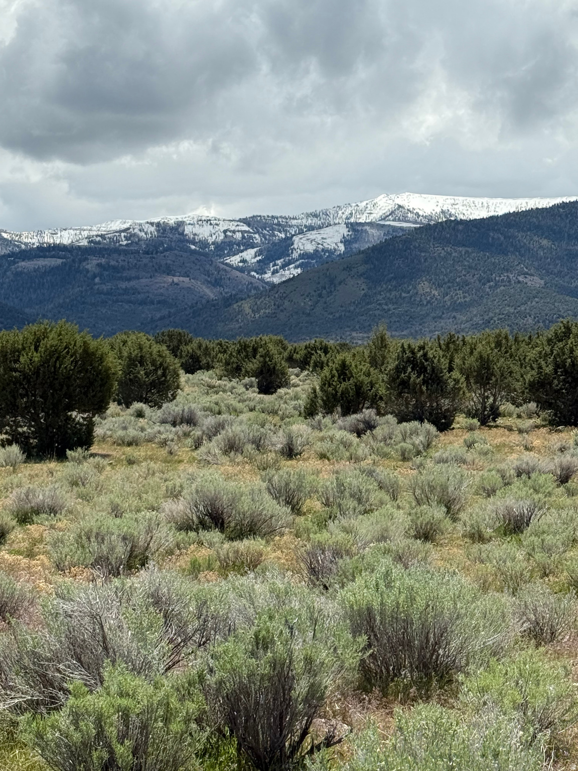 Spring City Ranches is nearly sold out, with just 7 parcels remaining. If you're looking for the perfect mix of mountain and country living, this is it. Conveniently located just minutes from Spring City and a short drive to Ephraim-home to Snow College, Walmart, and great shopping and dining. Each parcel includes one water share, with the option to purchase more-perfect for livestock, gardening, or future development.