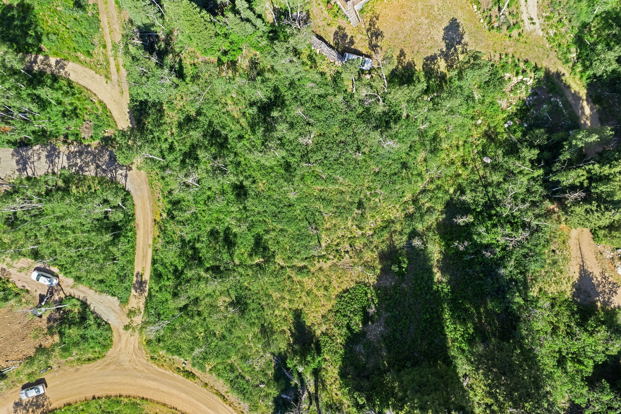PINE MEADOW RANCH - Land