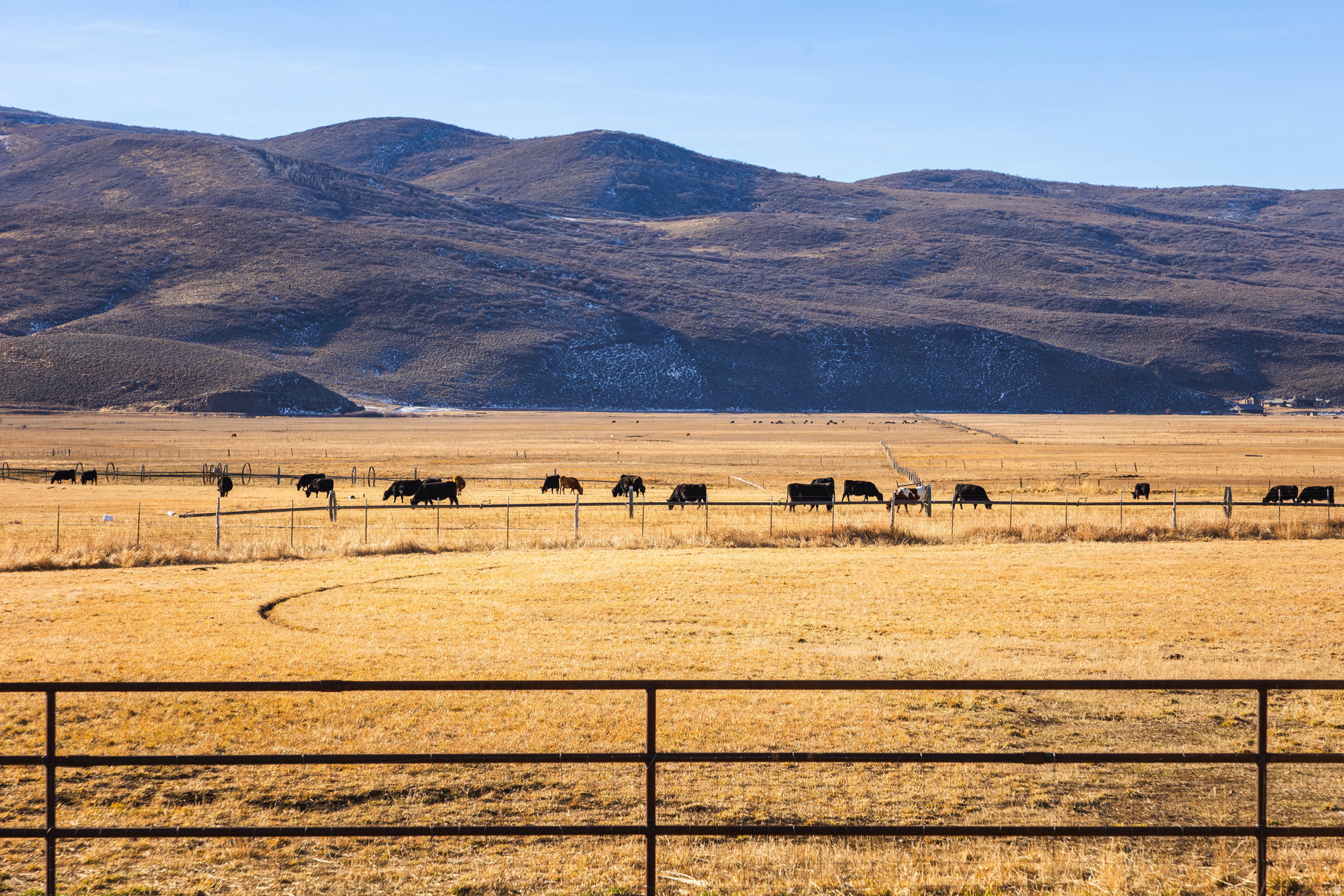 LAZY ACRES RANCH ESTATES - Residential