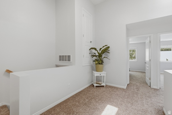 OLD MILL COURT - Residential