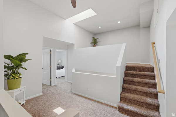 OLD MILL COURT - Residential
