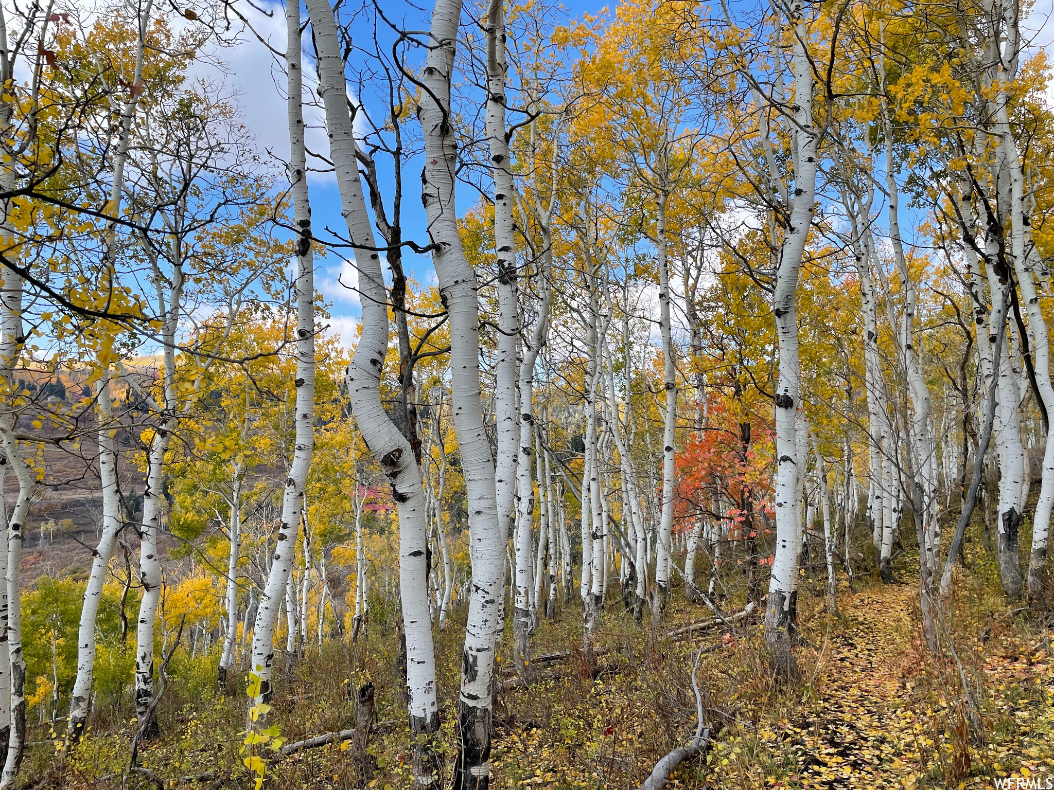 Your mountain legacy starts here. 9.57 rare acres among aspens and firs in Tollgate Canyon, with panoramic views from Deer Valley to Canyons. No HOA - bordering a large HOA parcel for added buffer and privacy. The hard work is done: recent survey with topo, passed perc test, and a 452' well producing 810 gpm. Includes a one-acre transferable water right - one of Park City's scarcest assets. Power stubbed with pedestal and meter, plus a half-mile of private single-track trail. Your neighbors? Deer, elk, and moose. Opportunities like this don't come twice in Tollgate.
