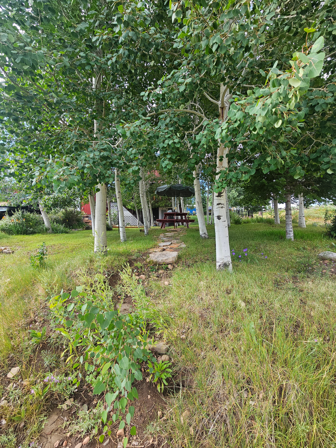 SOLDIER CREEK ESTATES - Residential
