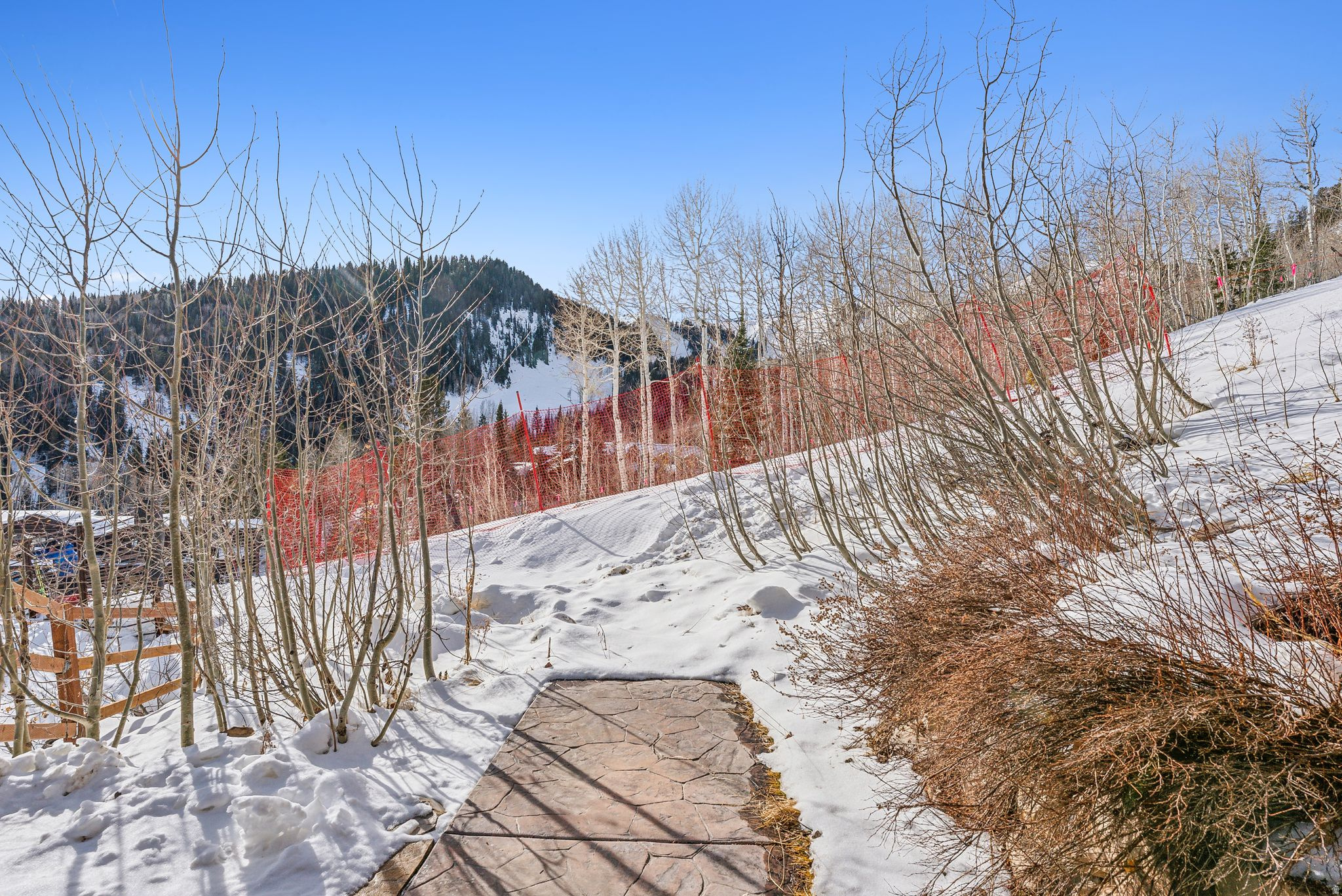 COLONY AT WHITE PINE - Residential