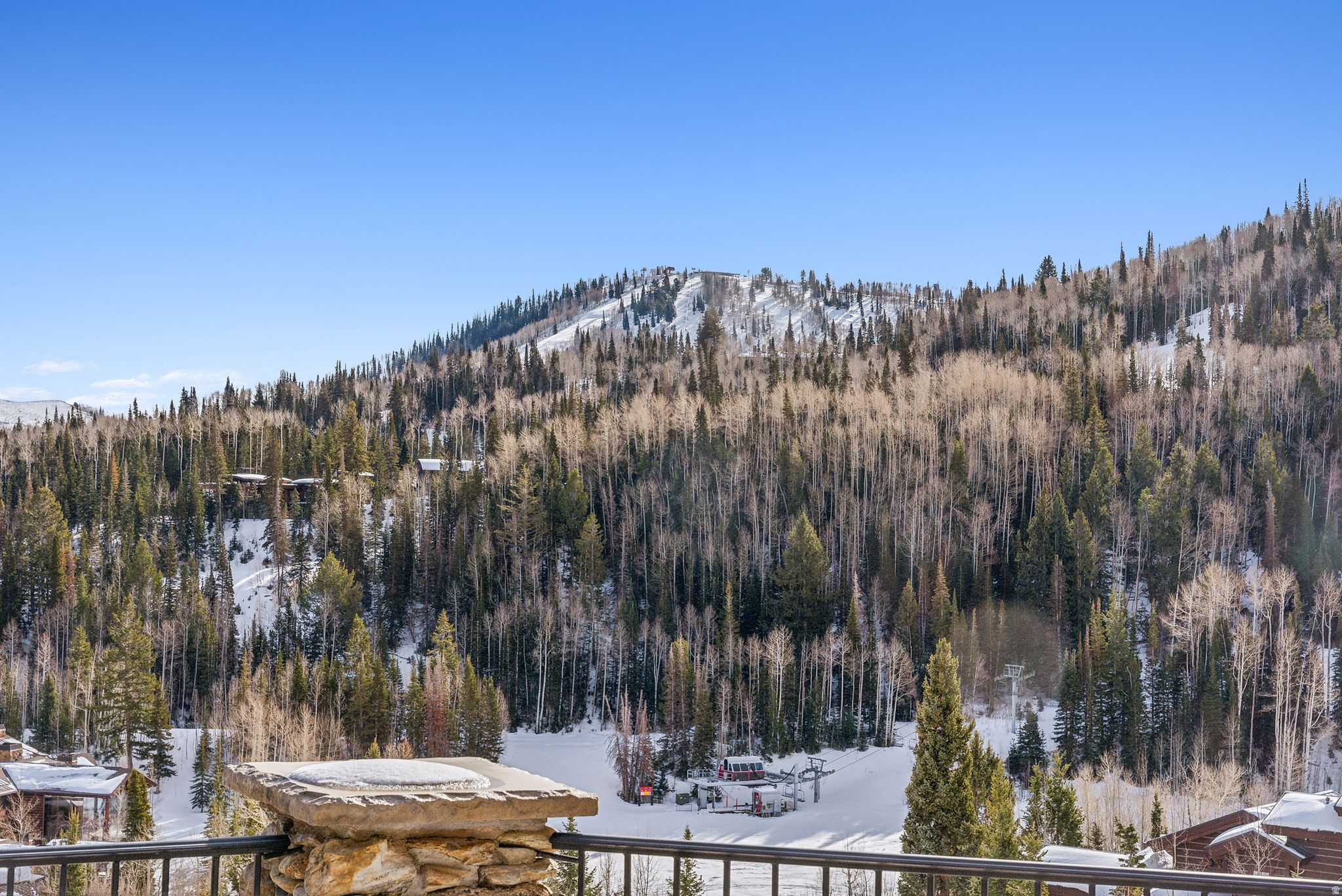 COLONY AT WHITE PINE - Residential