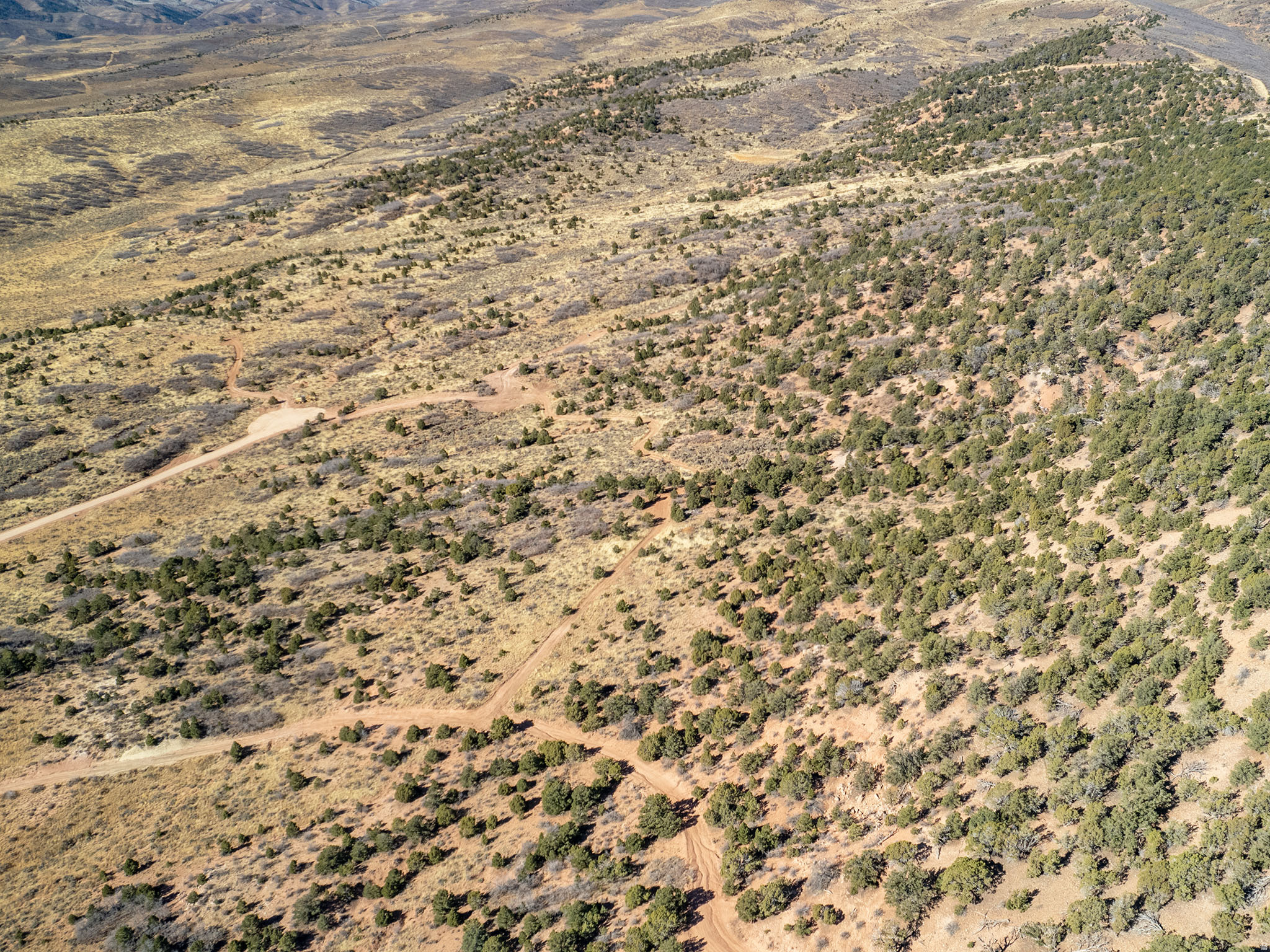 OAK HILLS RANCH - Land