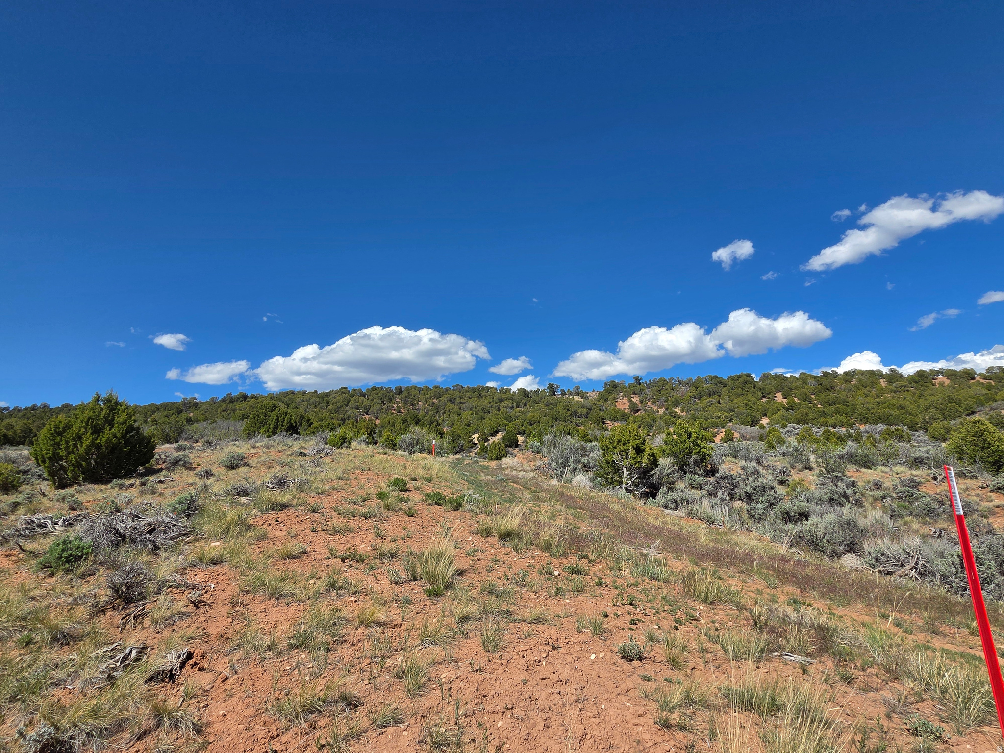 OAK HILLS RANCH - Land
