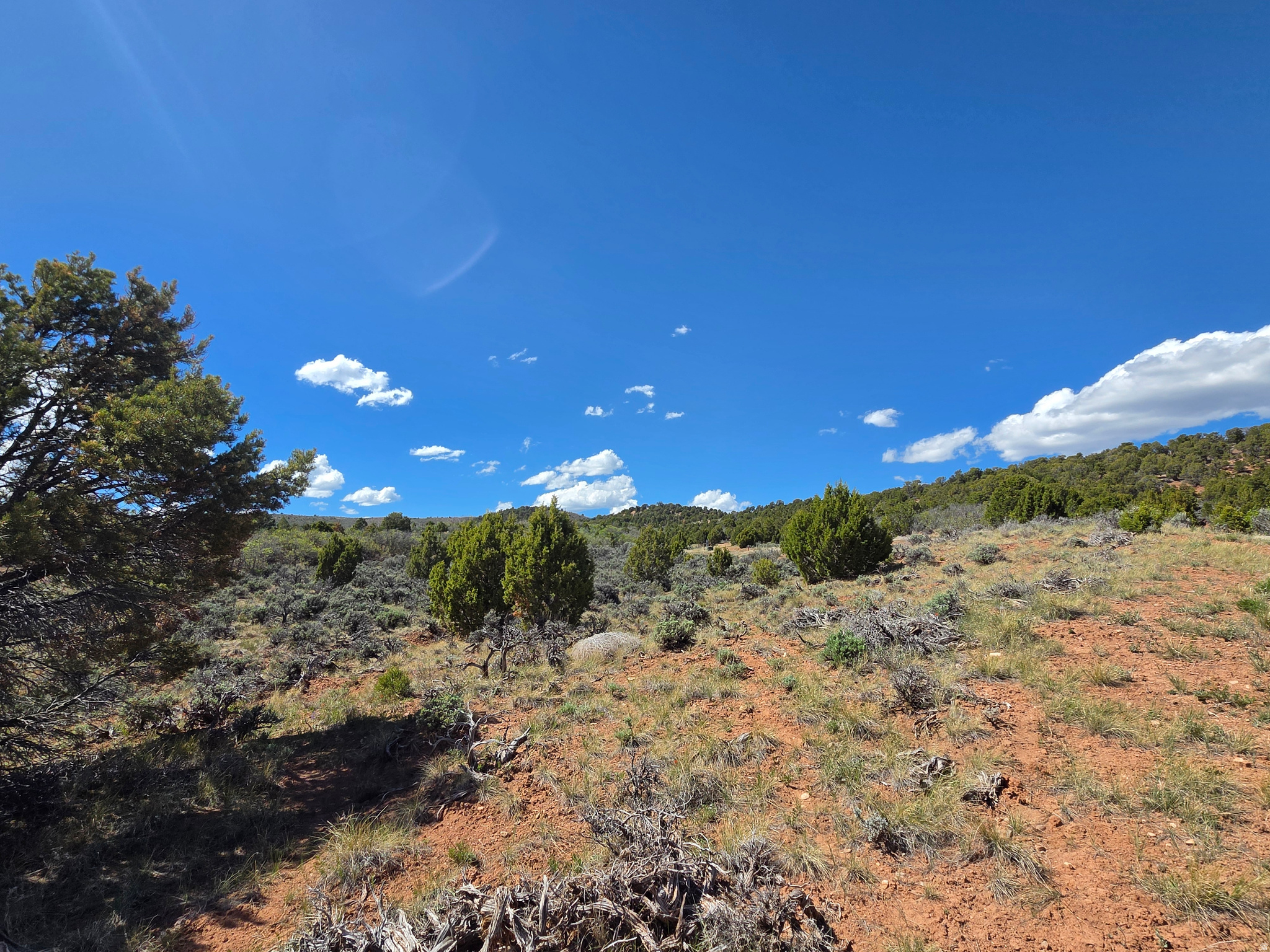OAK HILLS RANCH - Land