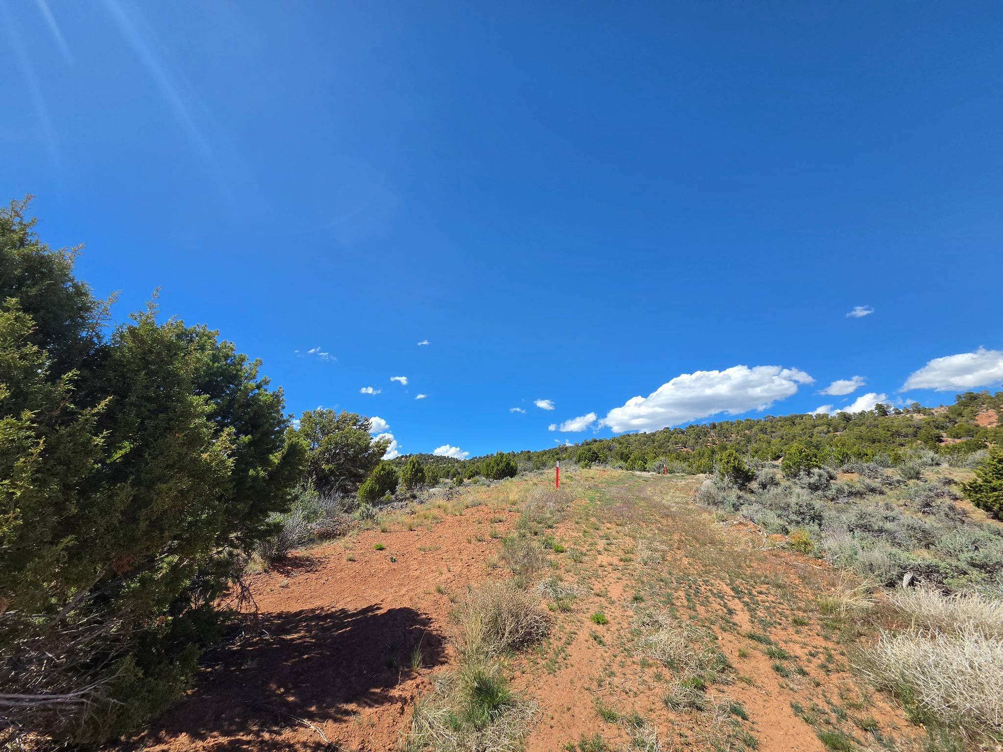 OAK HILLS RANCH - Land
