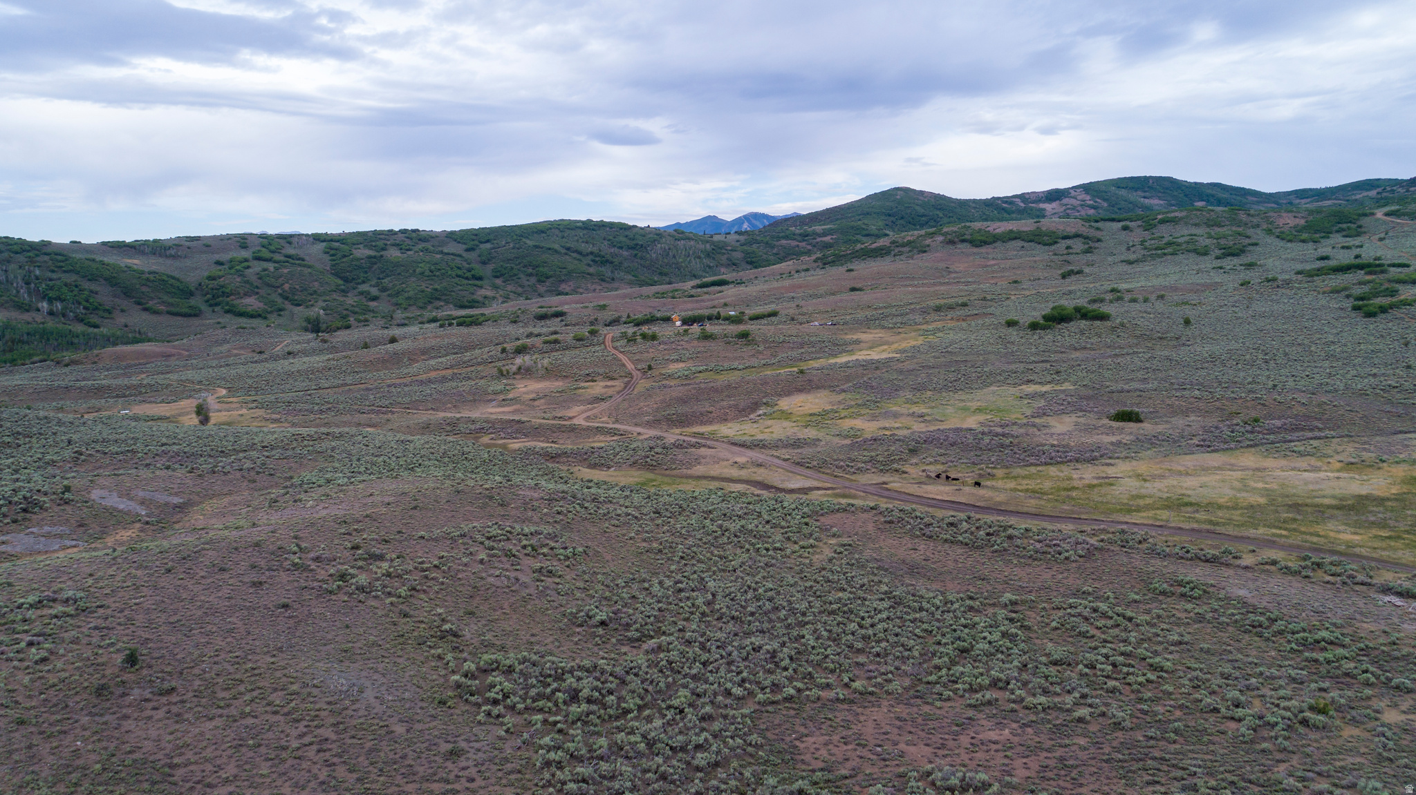SOUTH SUMMIT - Land