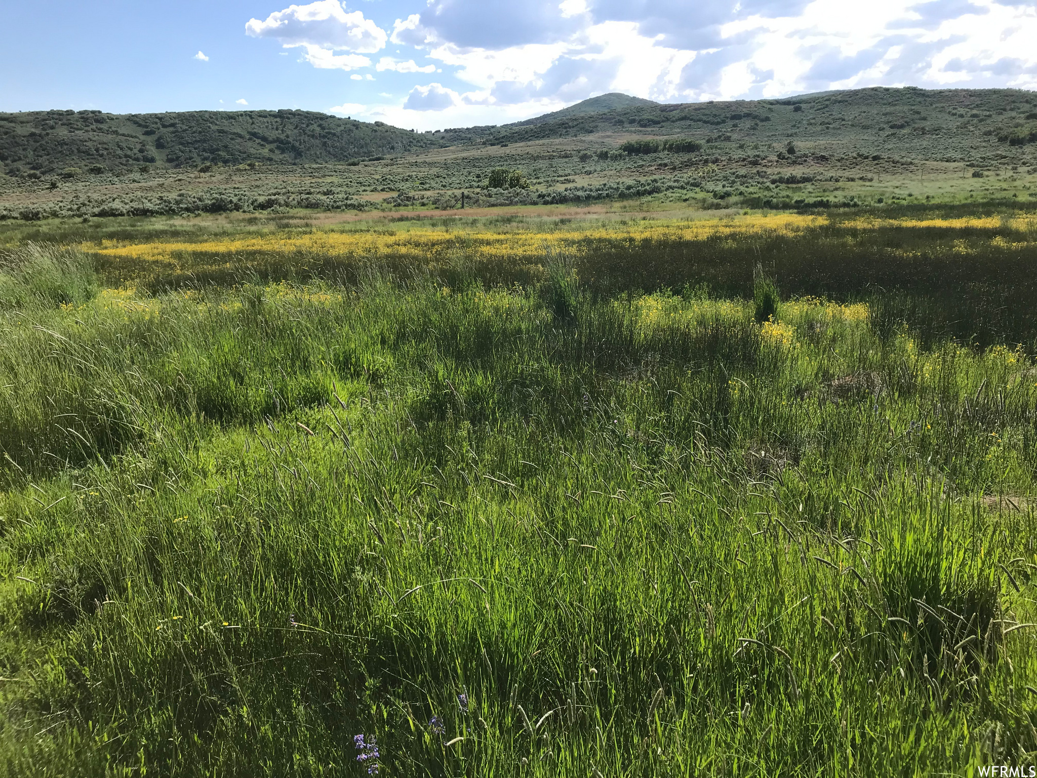 SOUTH SUMMIT - Land