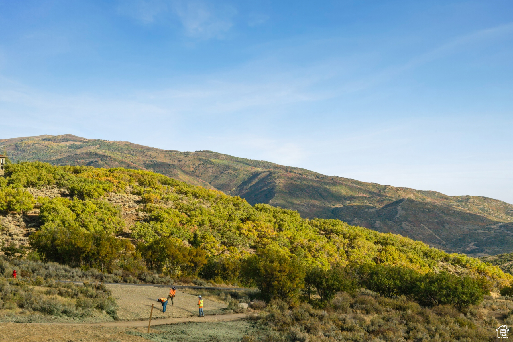 MOUNTAIN CREST - Land