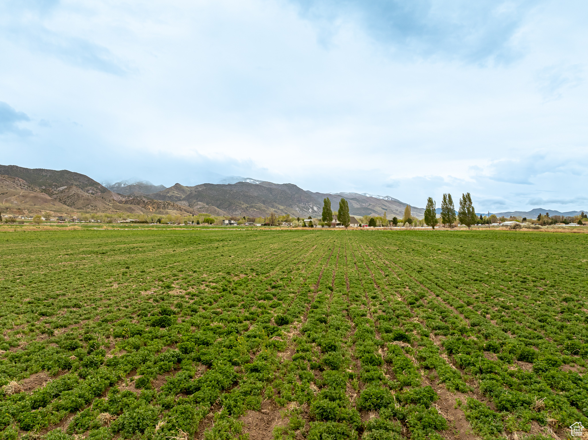 ELK VIEW - Land