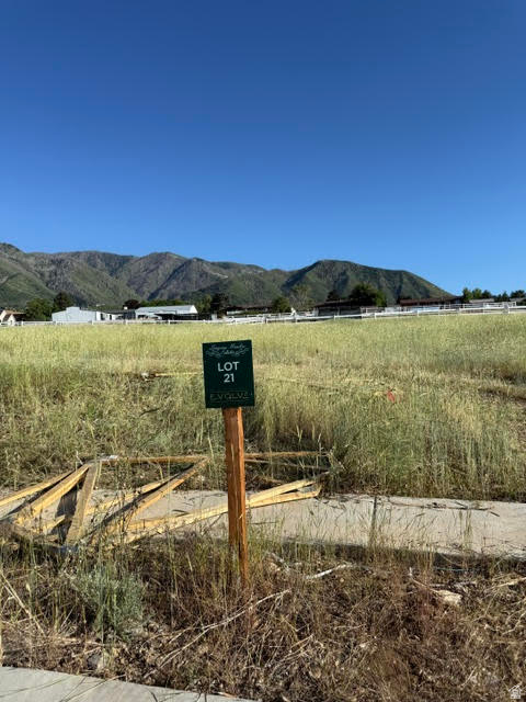 LONGVIEW MEADOW ESTATES - Land