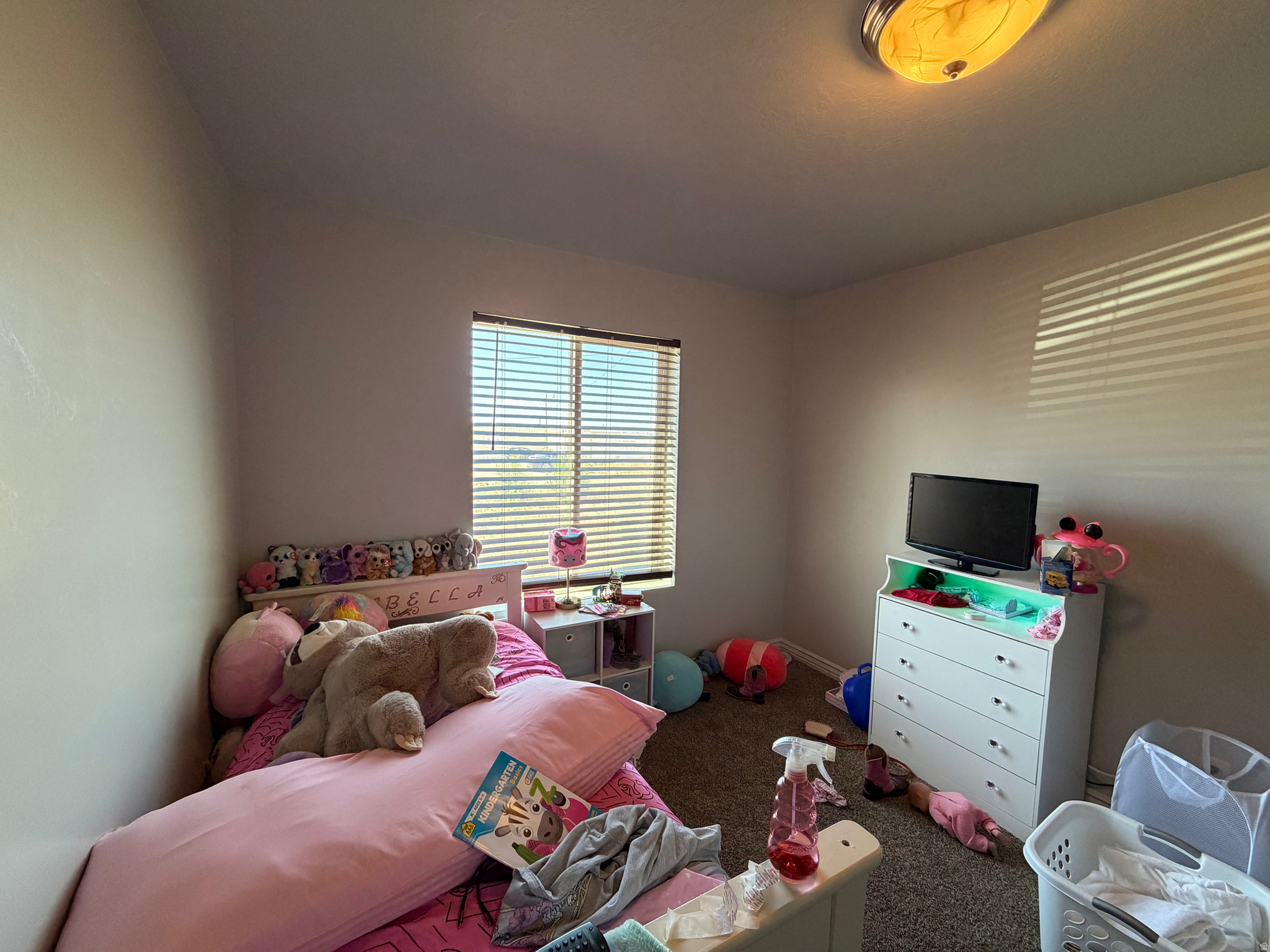 BALLARD ESTATES PHASE 1 - Residential