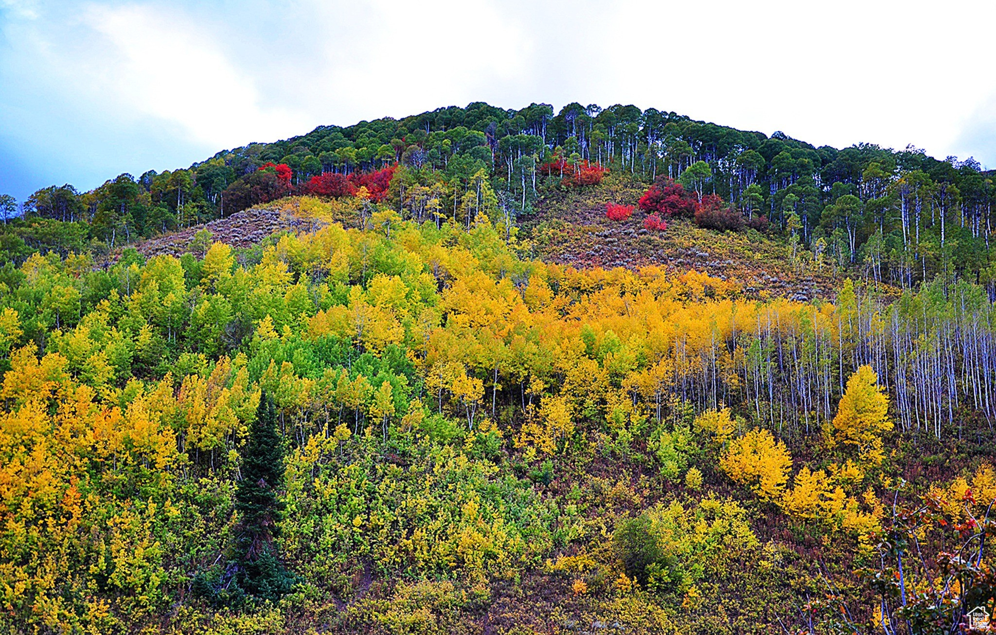 SUNRIDGE RANCHES - Land