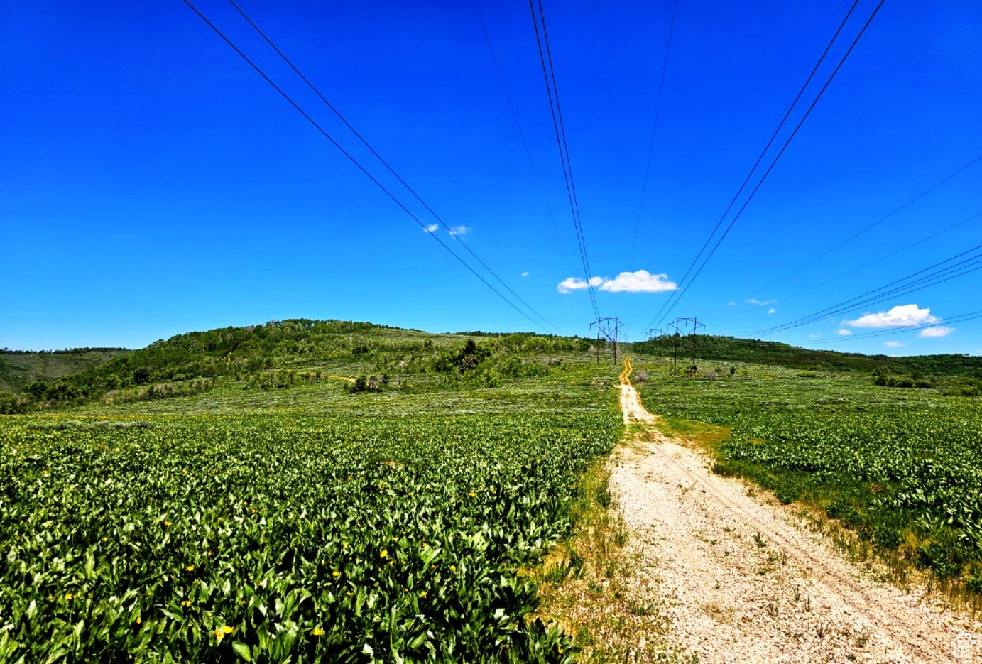 SUNRIDGE RANCHES - Land